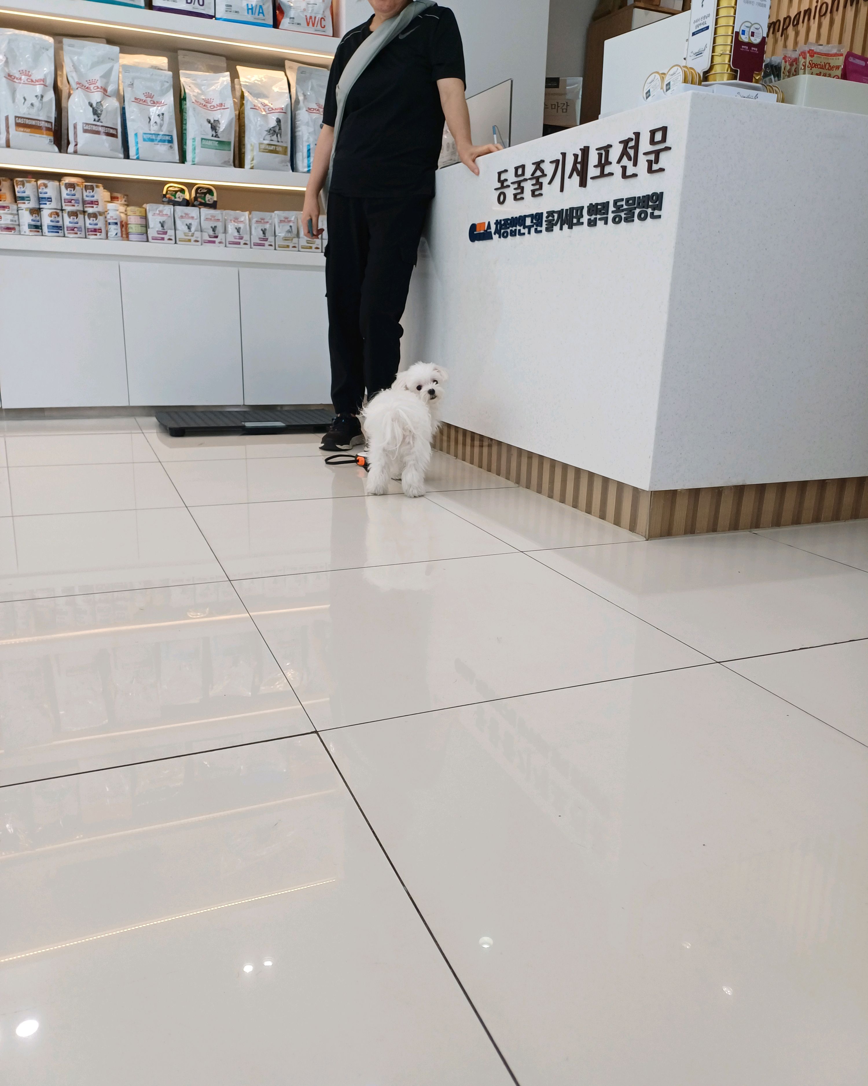 리뷰 사진 1