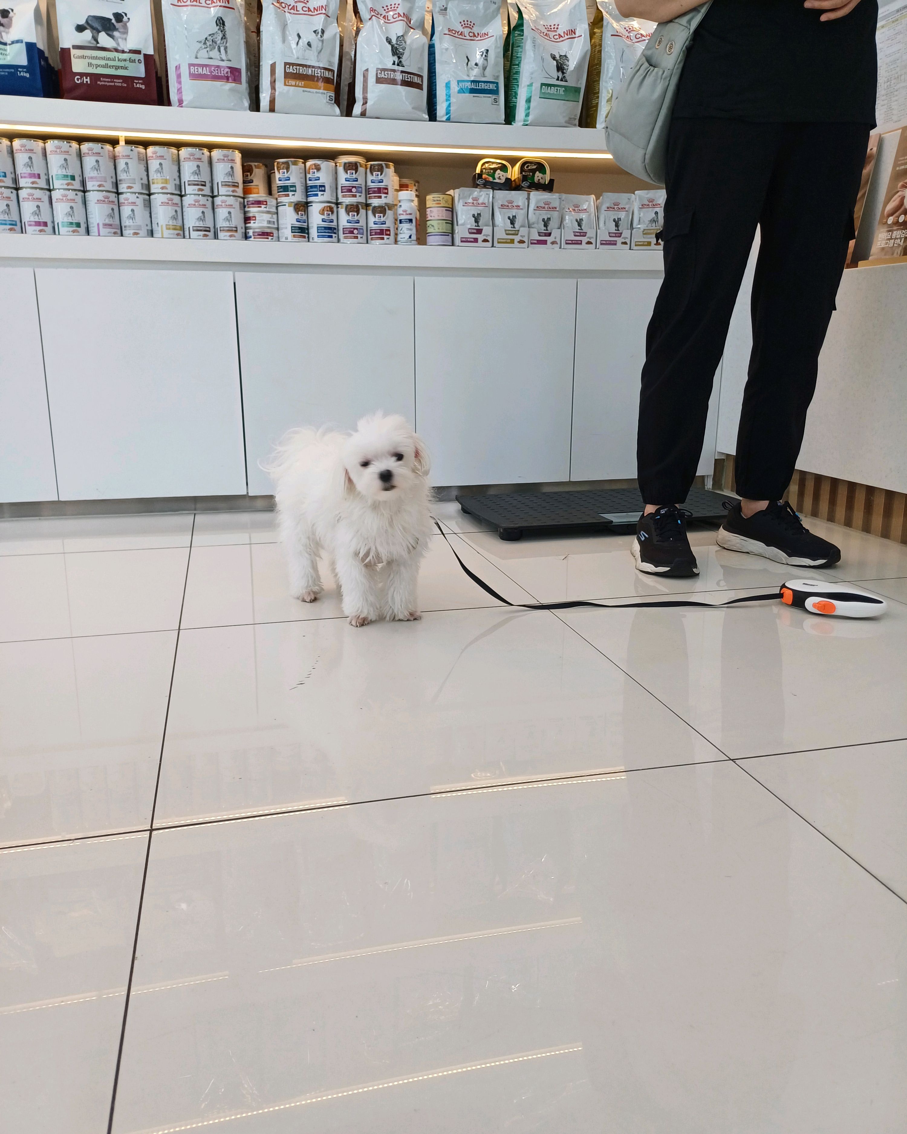 리뷰 사진 2