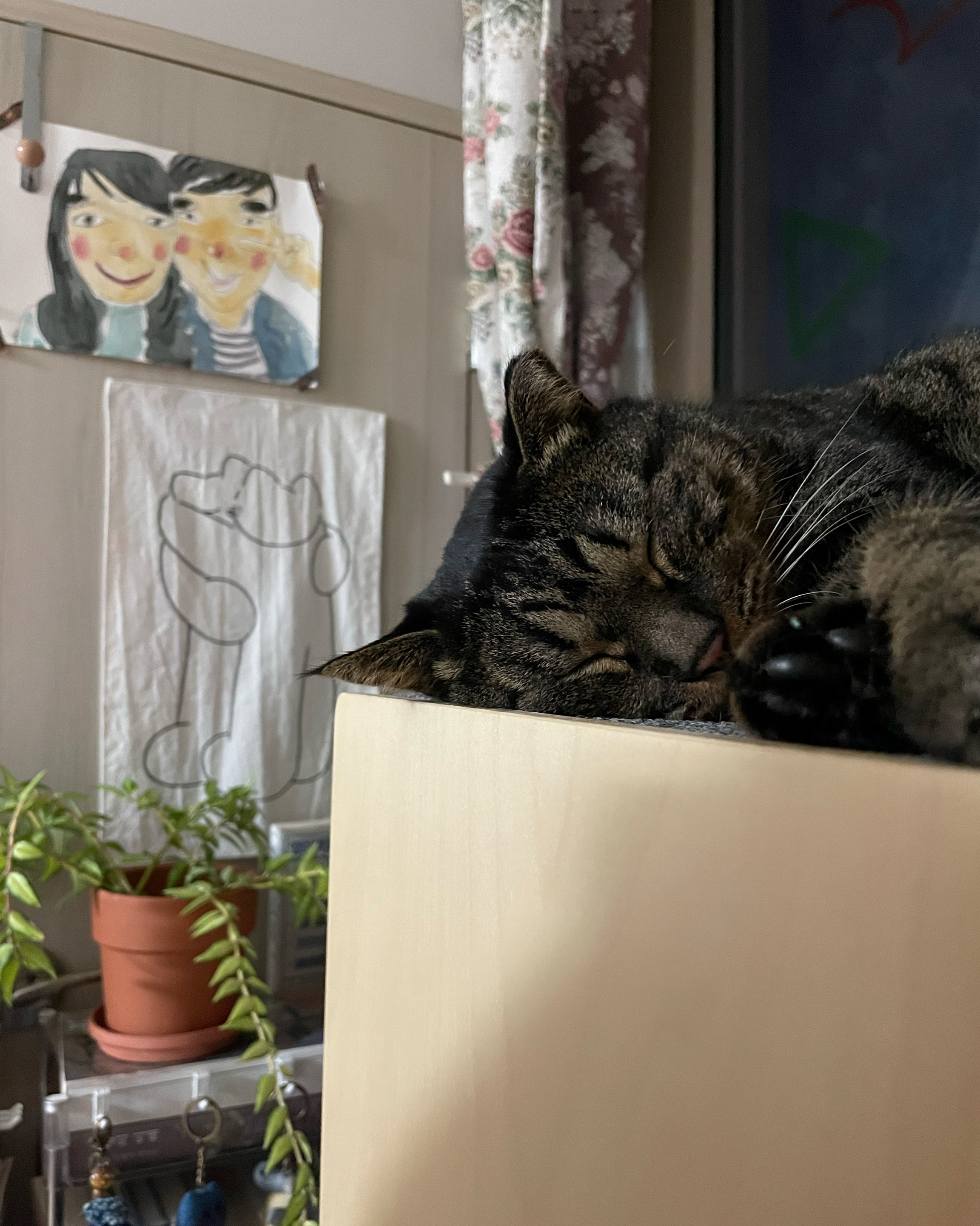리뷰 사진 2