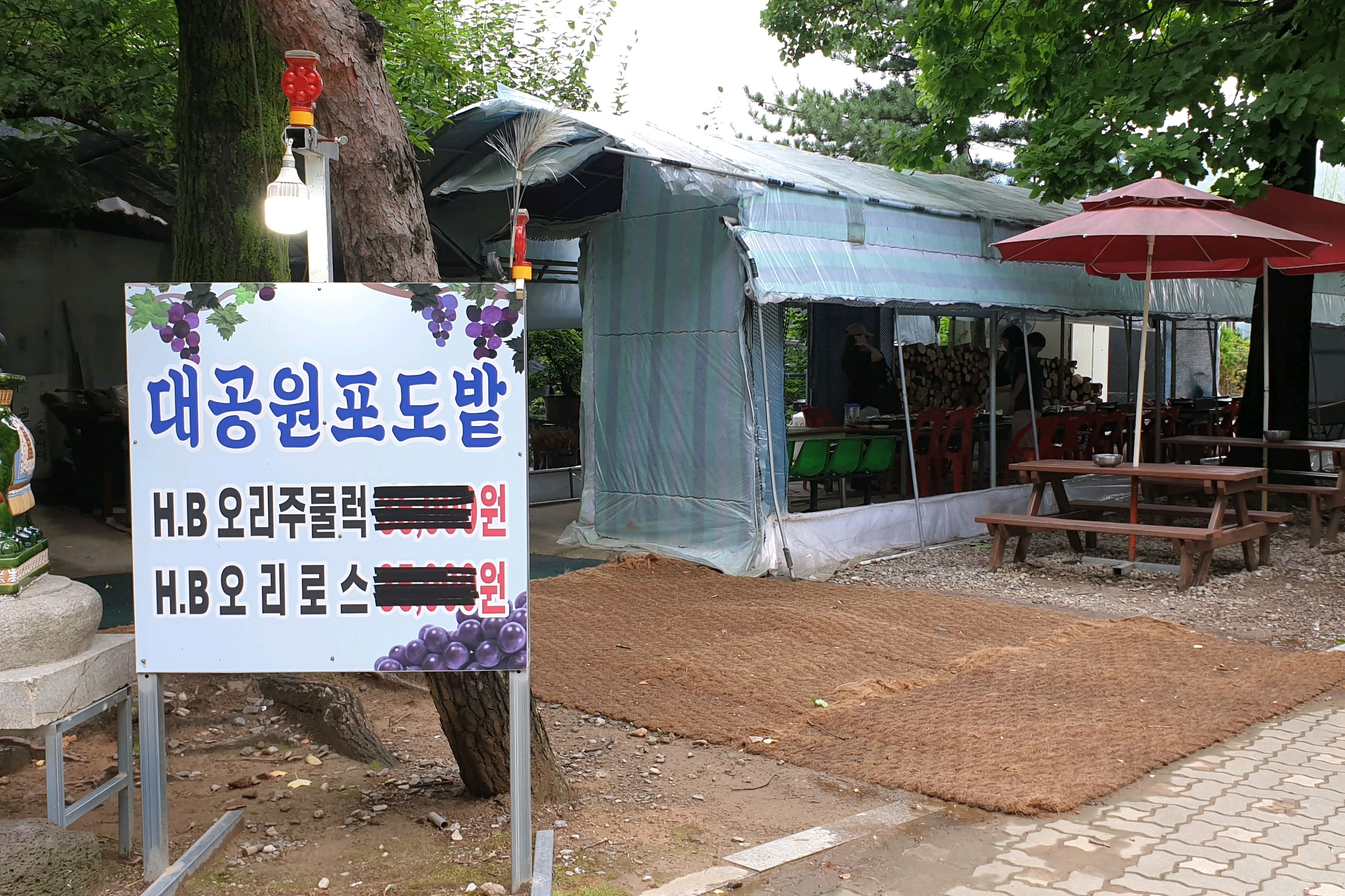 
대공원역식당 대공원 포도밭