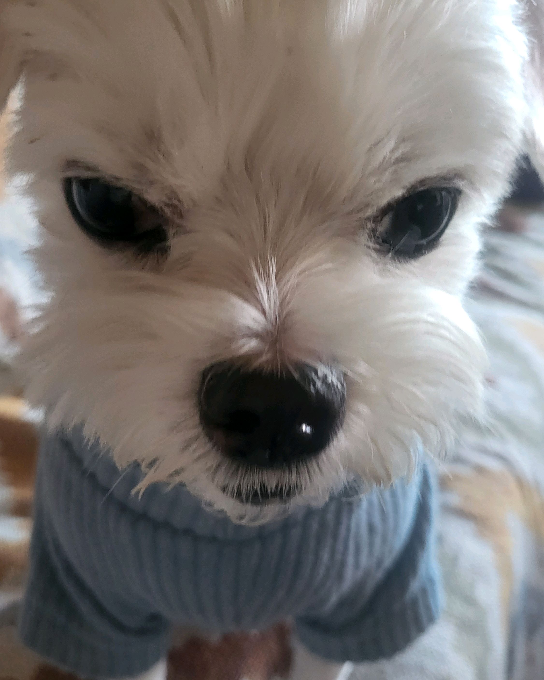 정 동물병원 사진 4