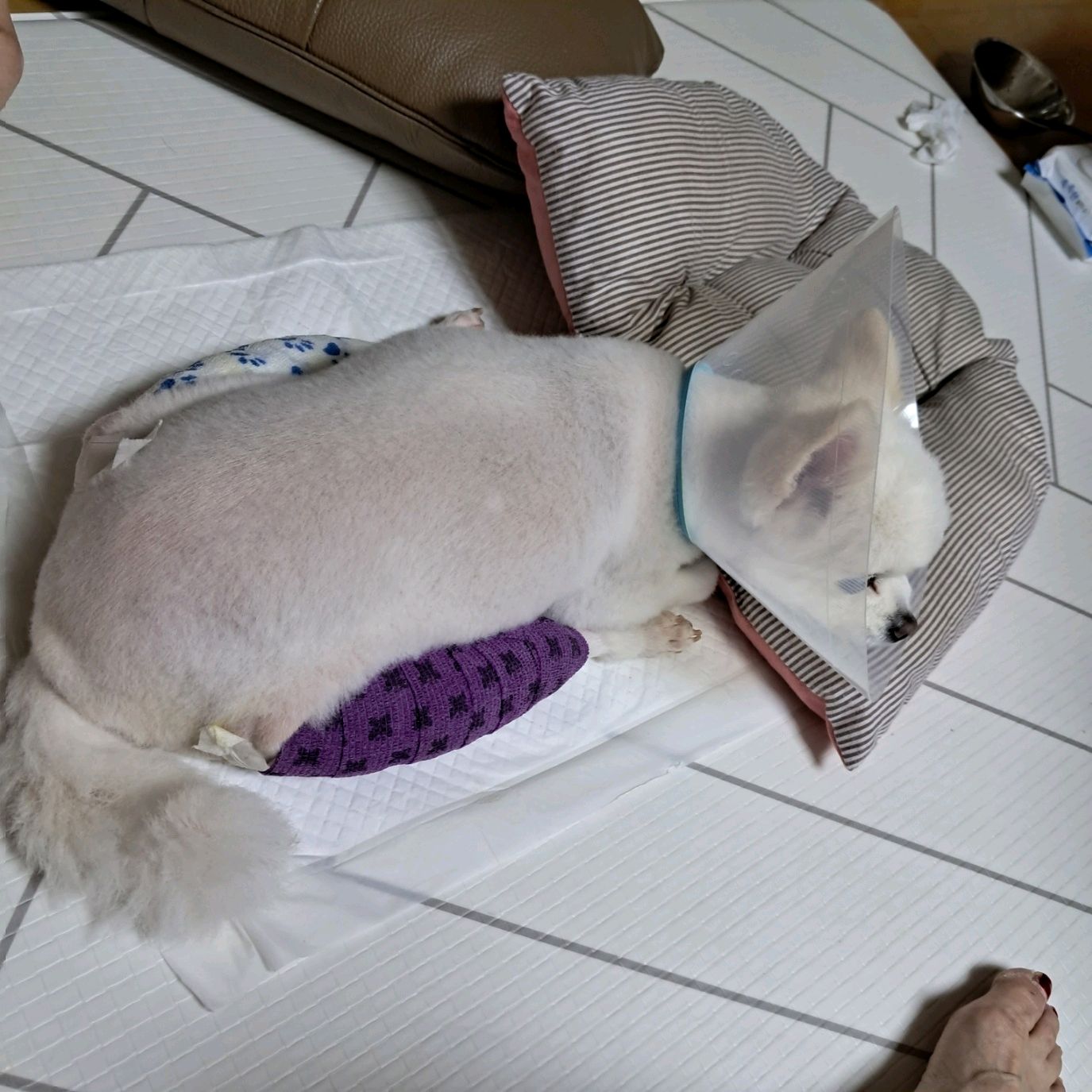 리뷰 사진 1