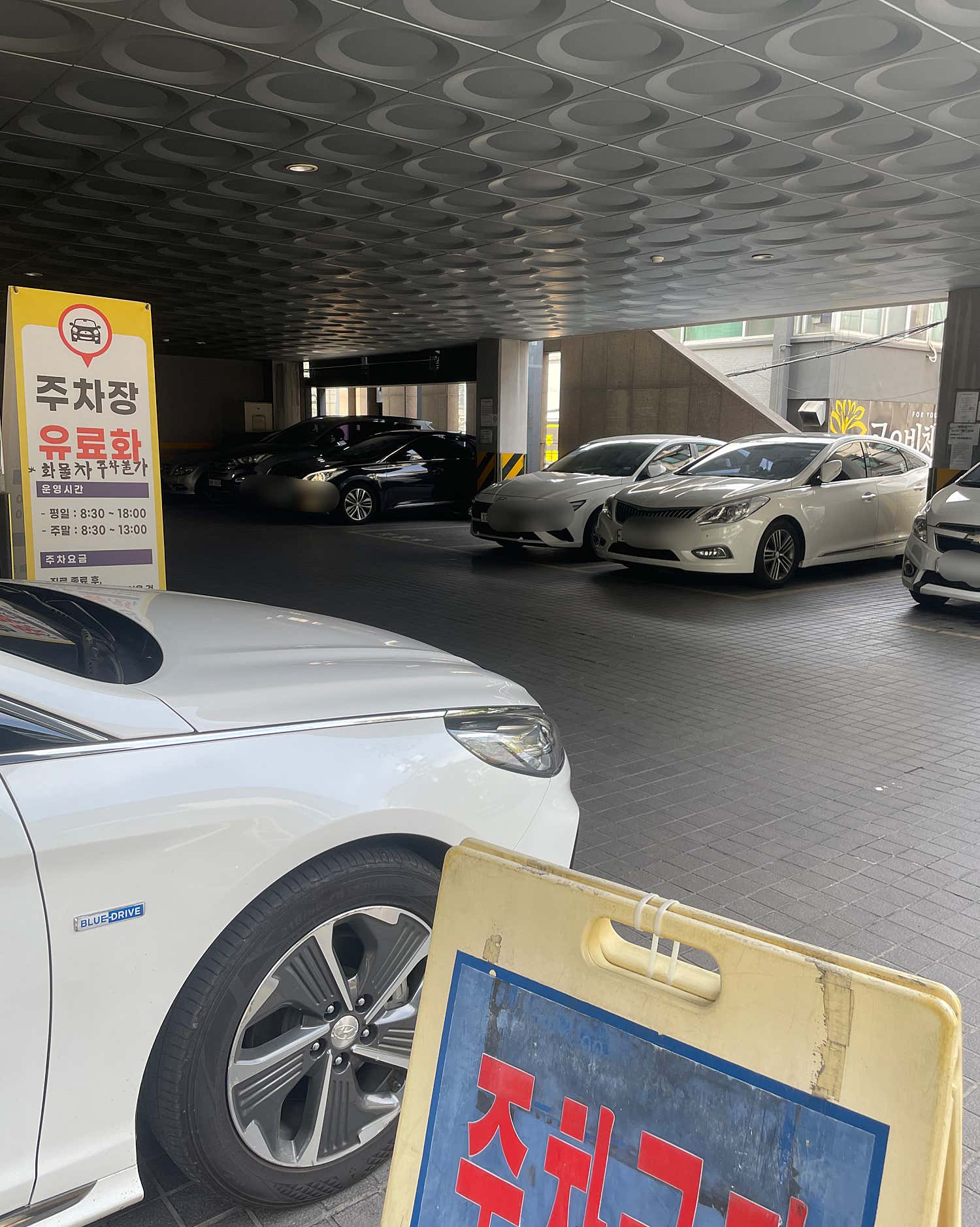 연세조이의원 동작점