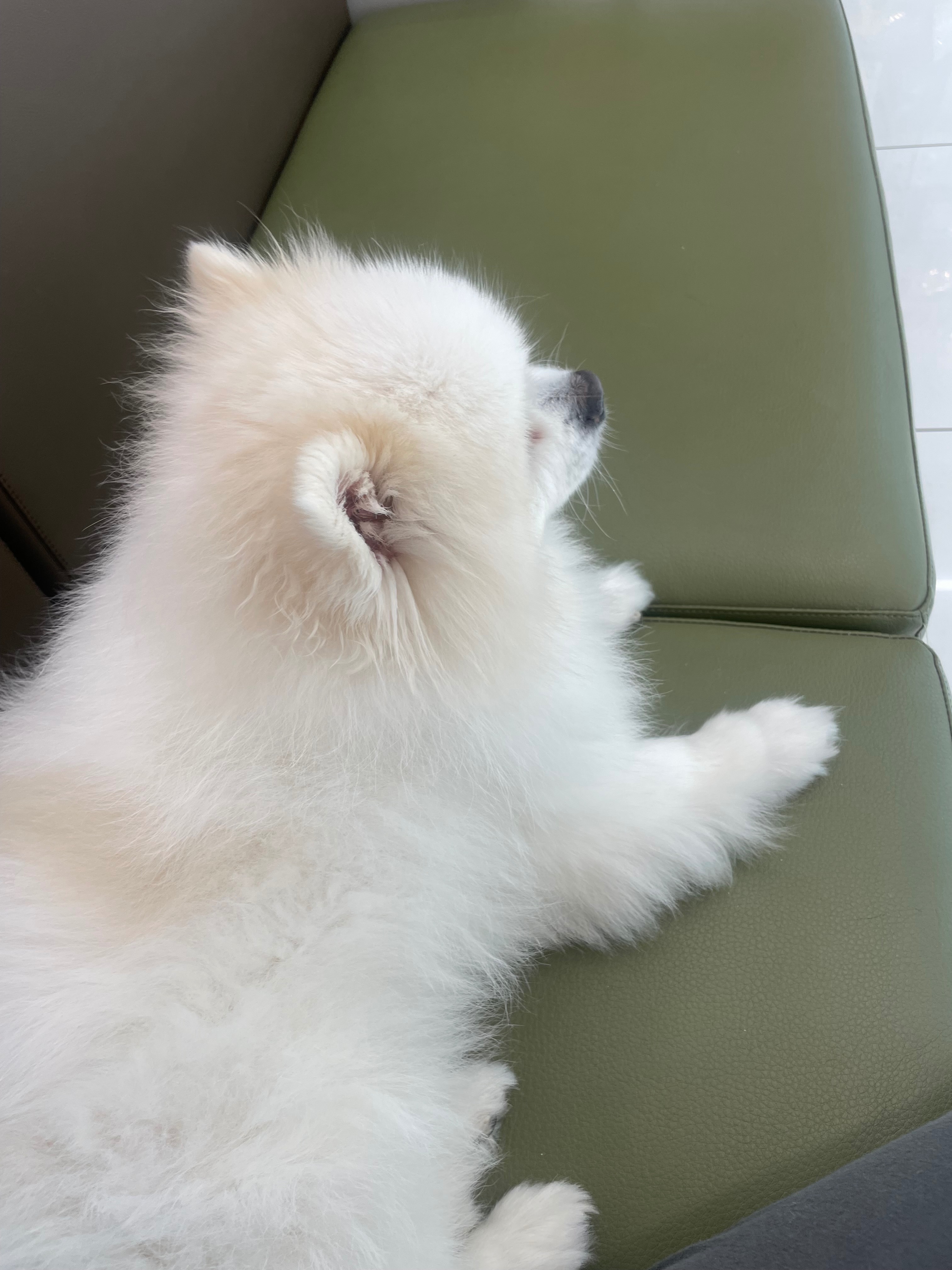 리뷰 사진 1