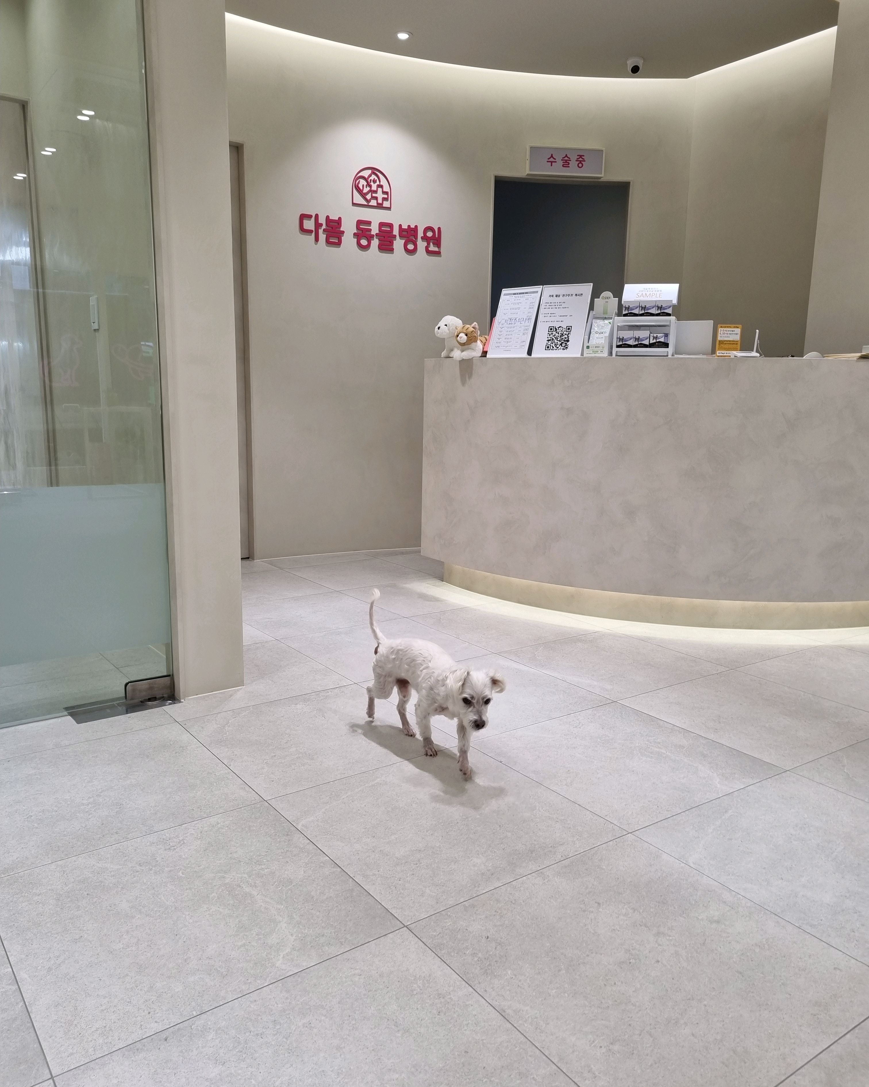 리뷰 사진 2