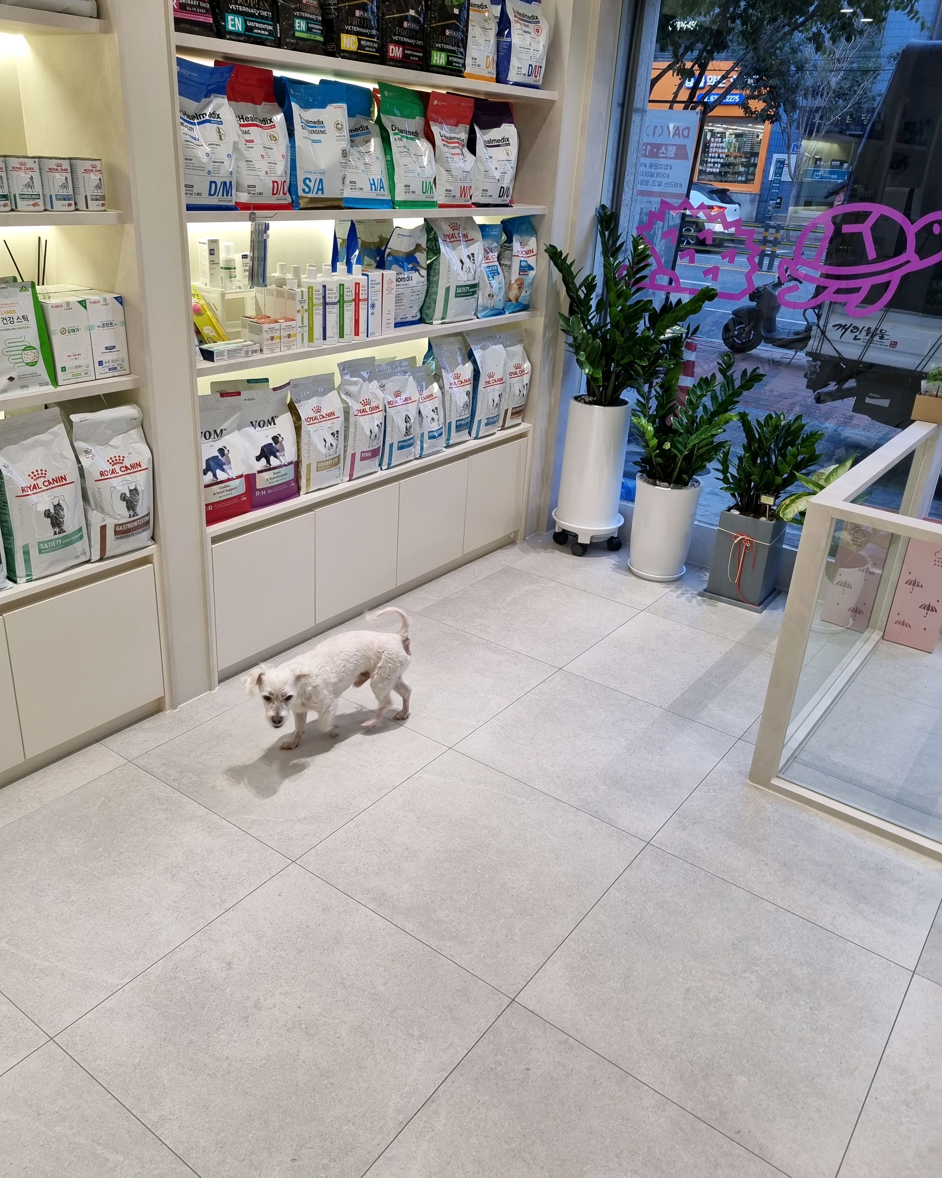 리뷰 사진 1