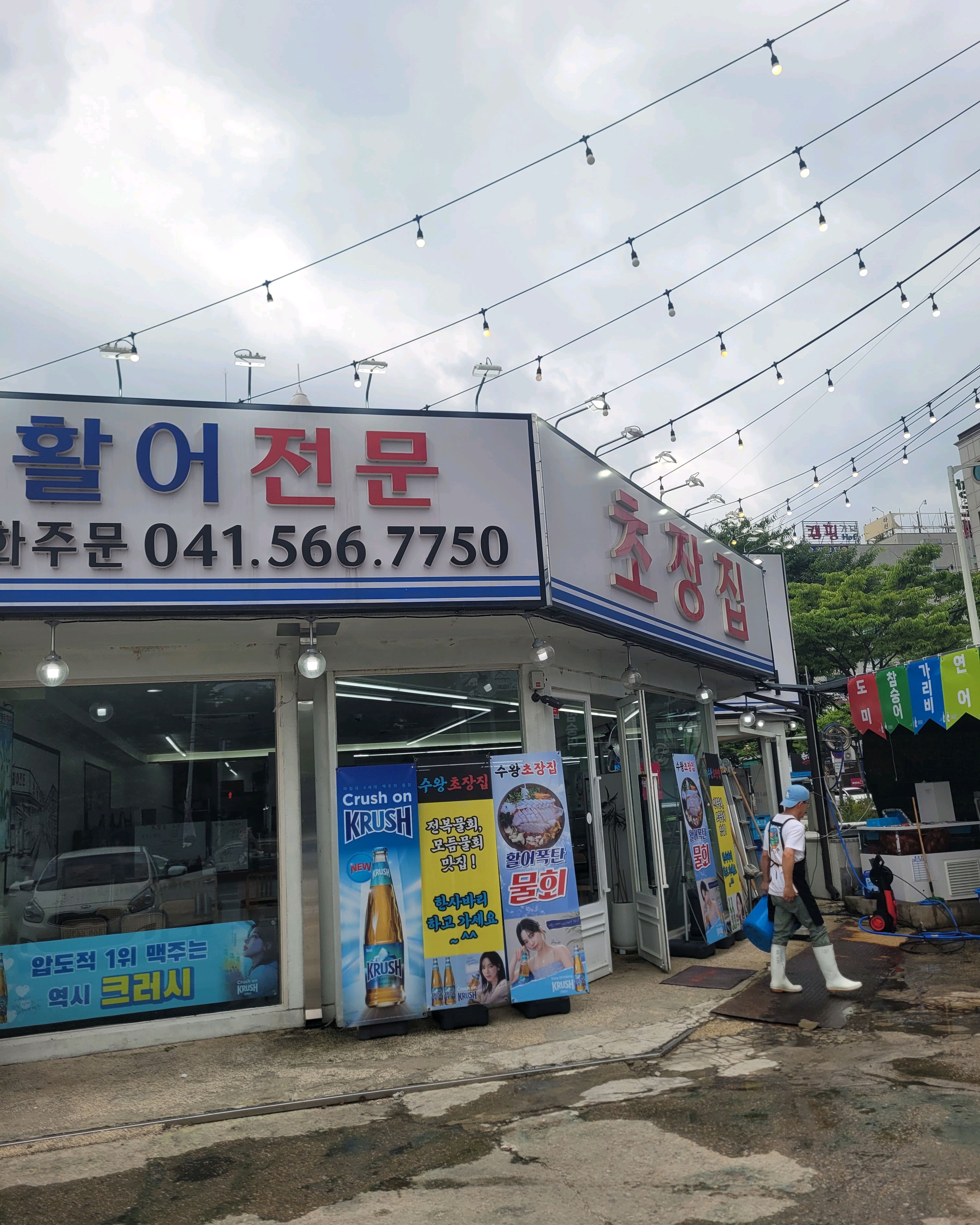 [천안 맛집 수왕초장집 천안점] 직접 가본 로컬 리뷰