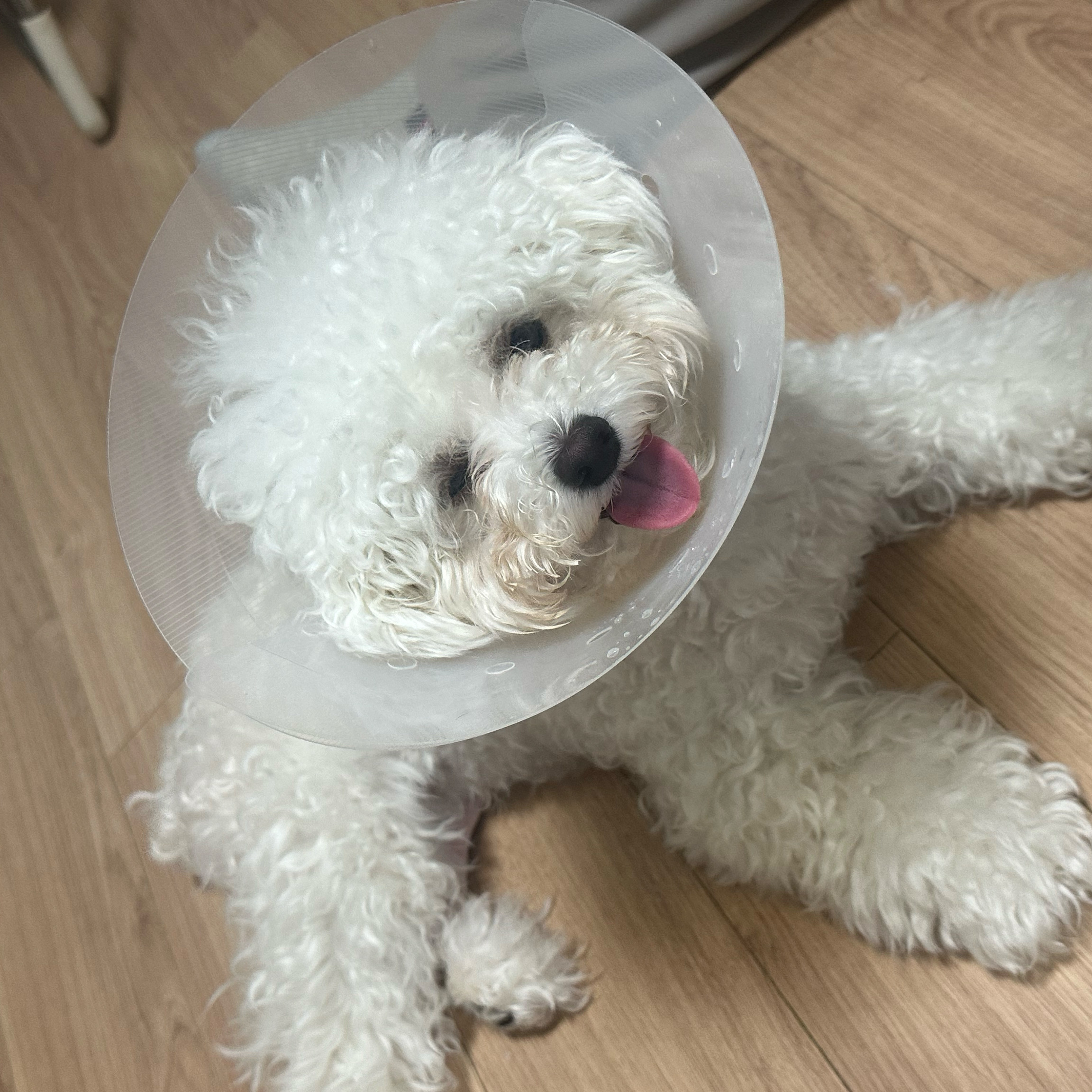 리뷰 사진 2