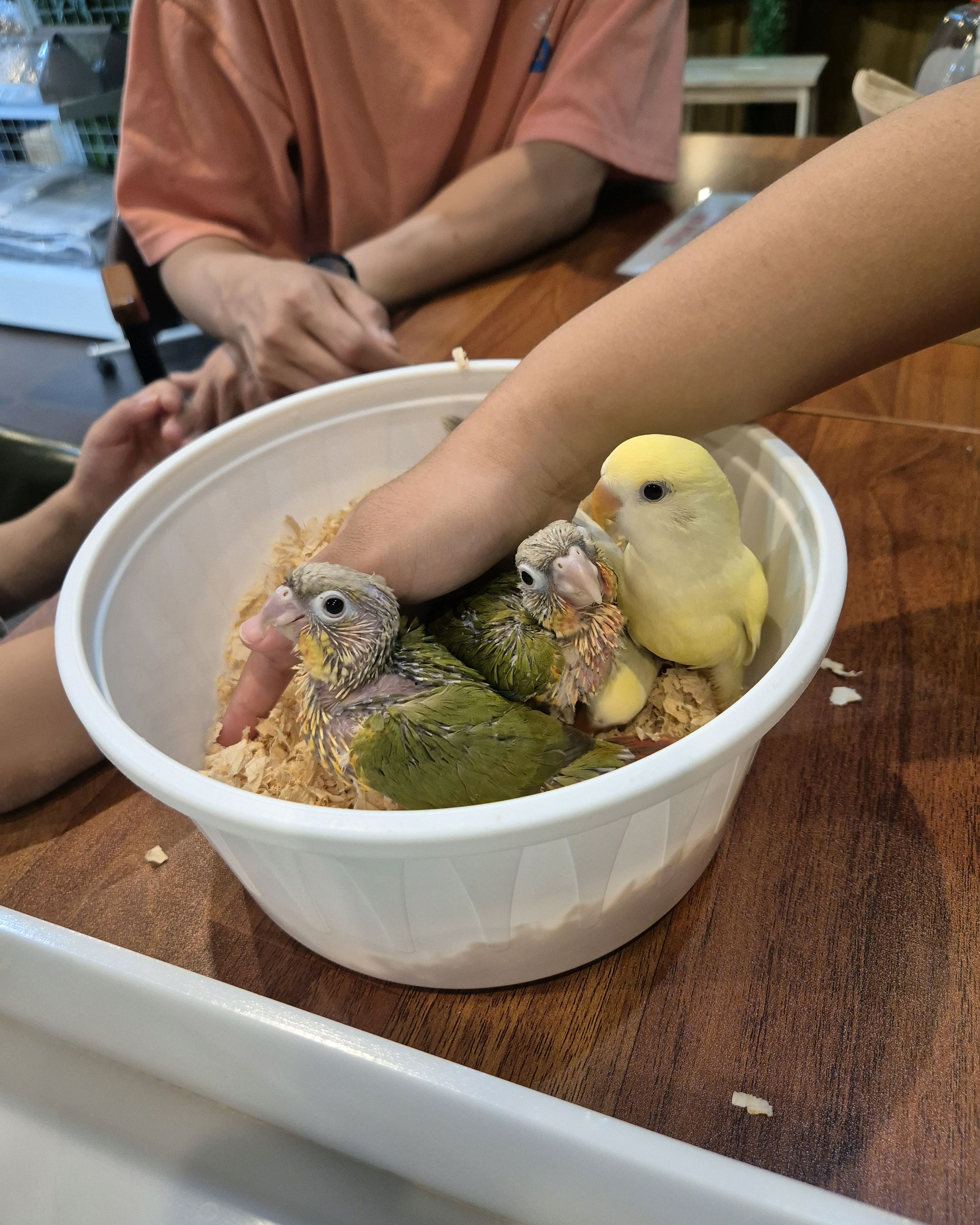 [삼척 맛집 버드브리즈] 직접 가본 로컬 리뷰