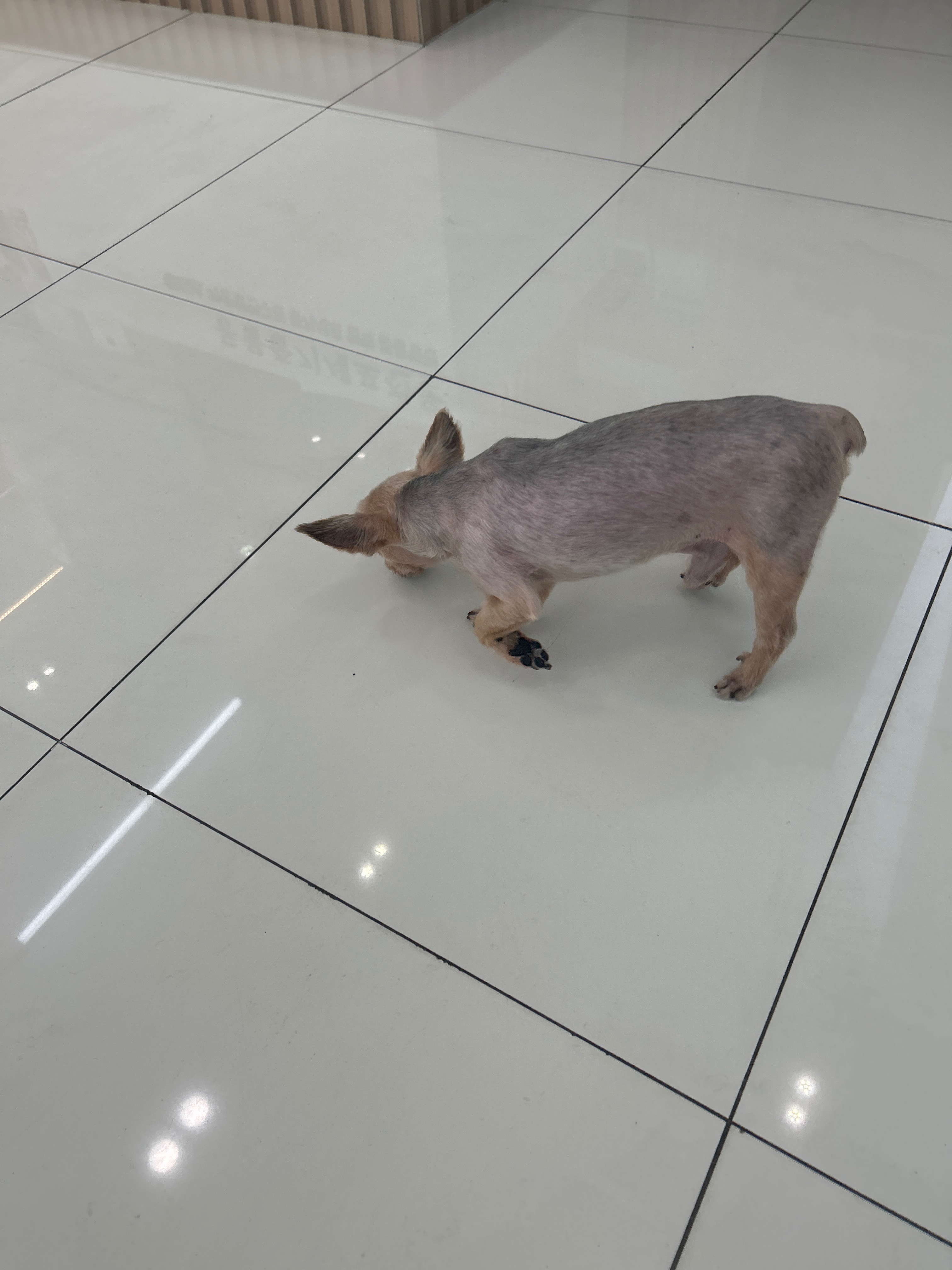 리뷰 사진 1