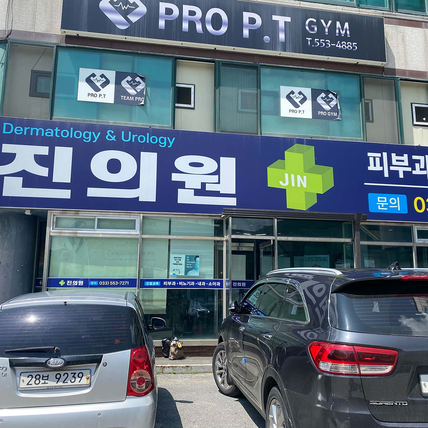 진의원
