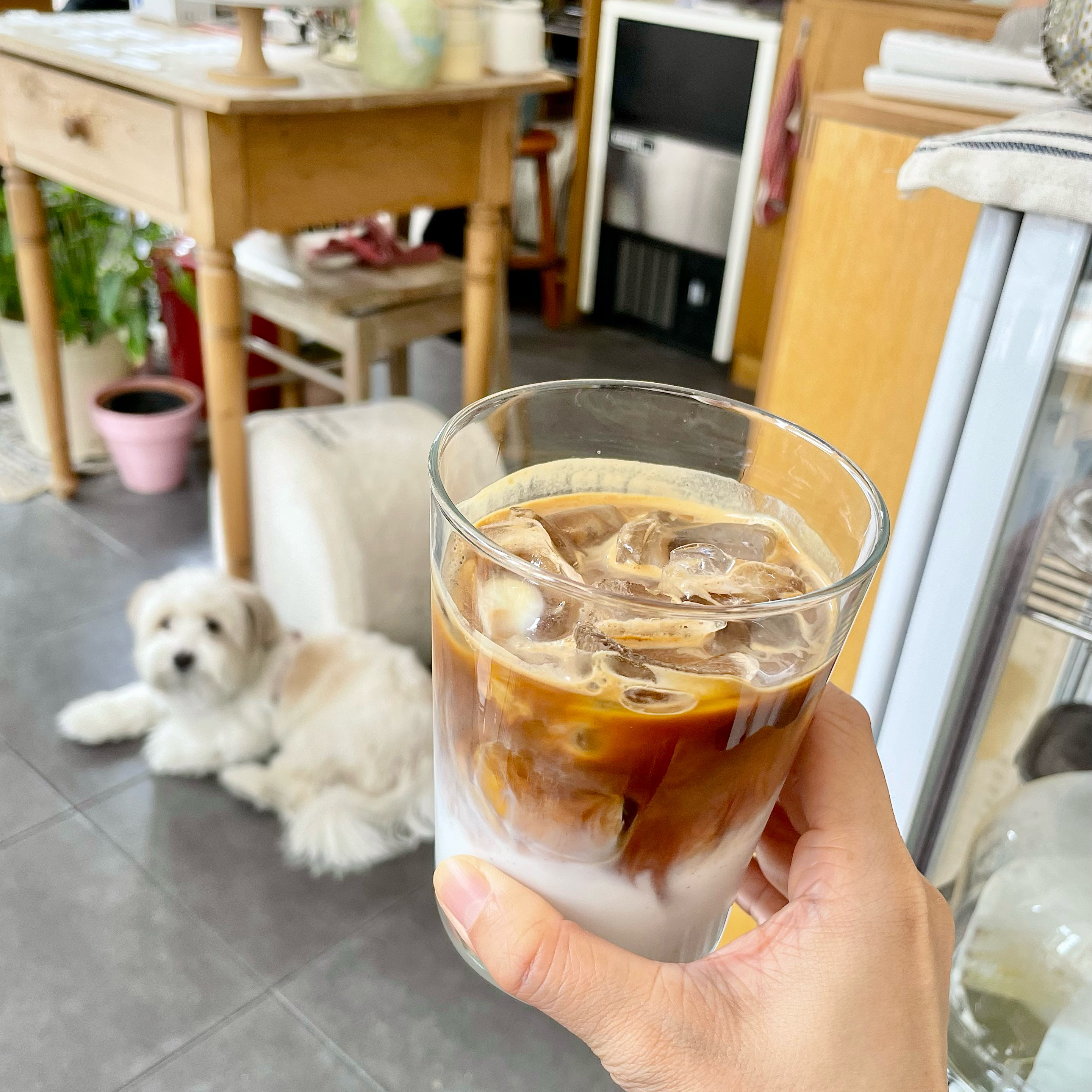 꼬수운 라떼라 맛있었고, 밝고 아늑한 분위기마저 너무 좋았어요💖 그리고 귀여운 댕댕이 포포