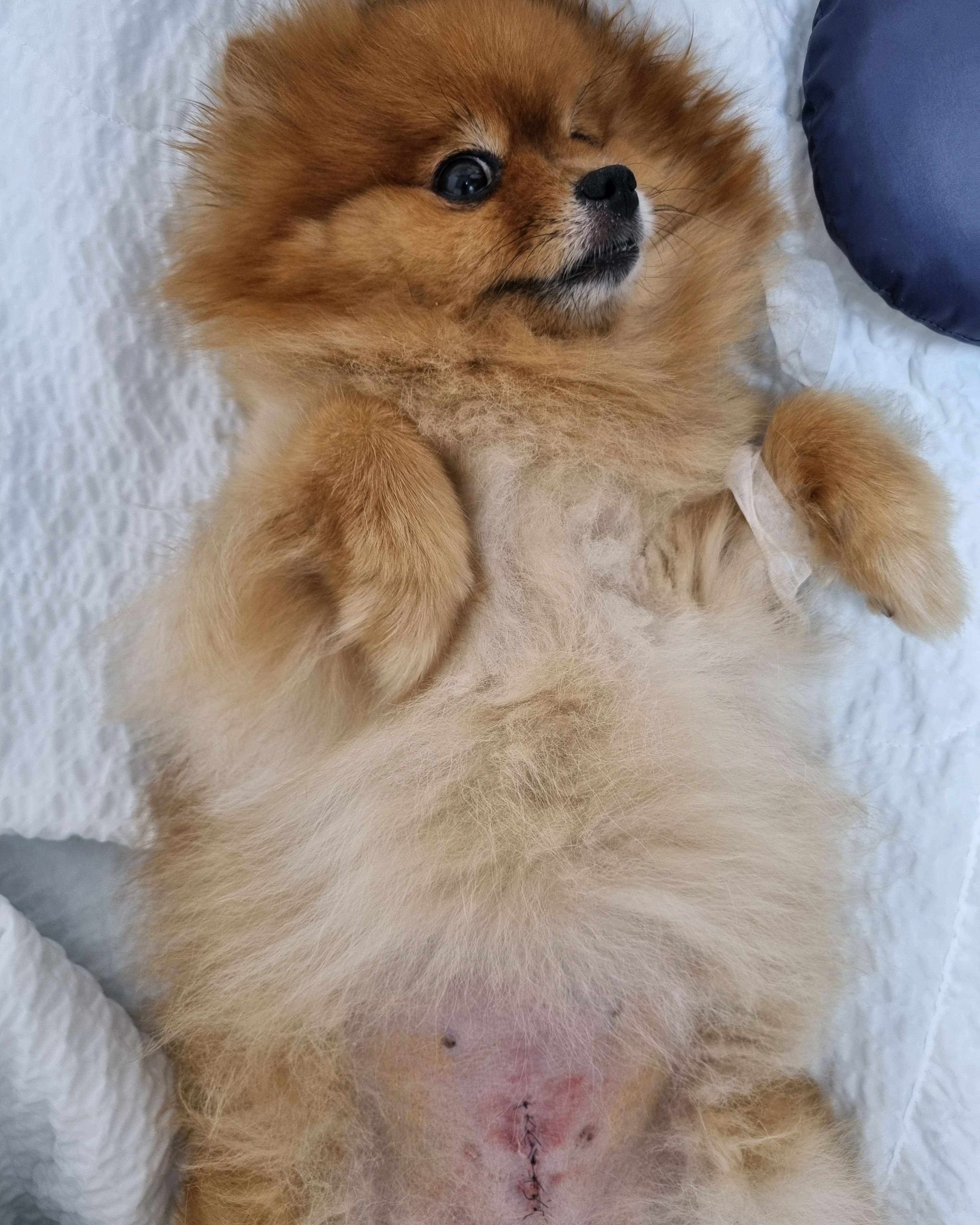 리뷰 사진 2