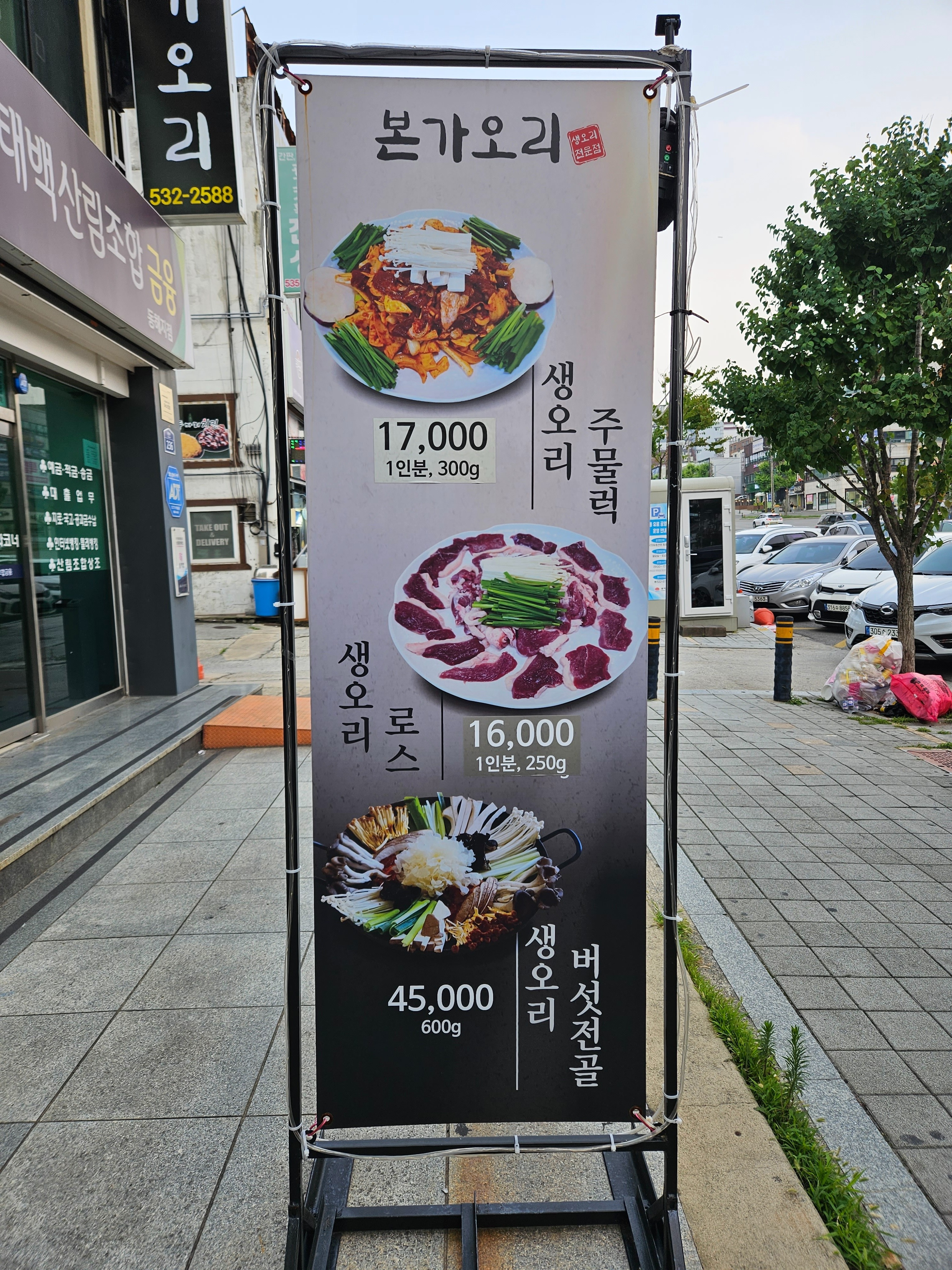 [동해 맛집 본가오리] 직접 가본 로컬 리뷰