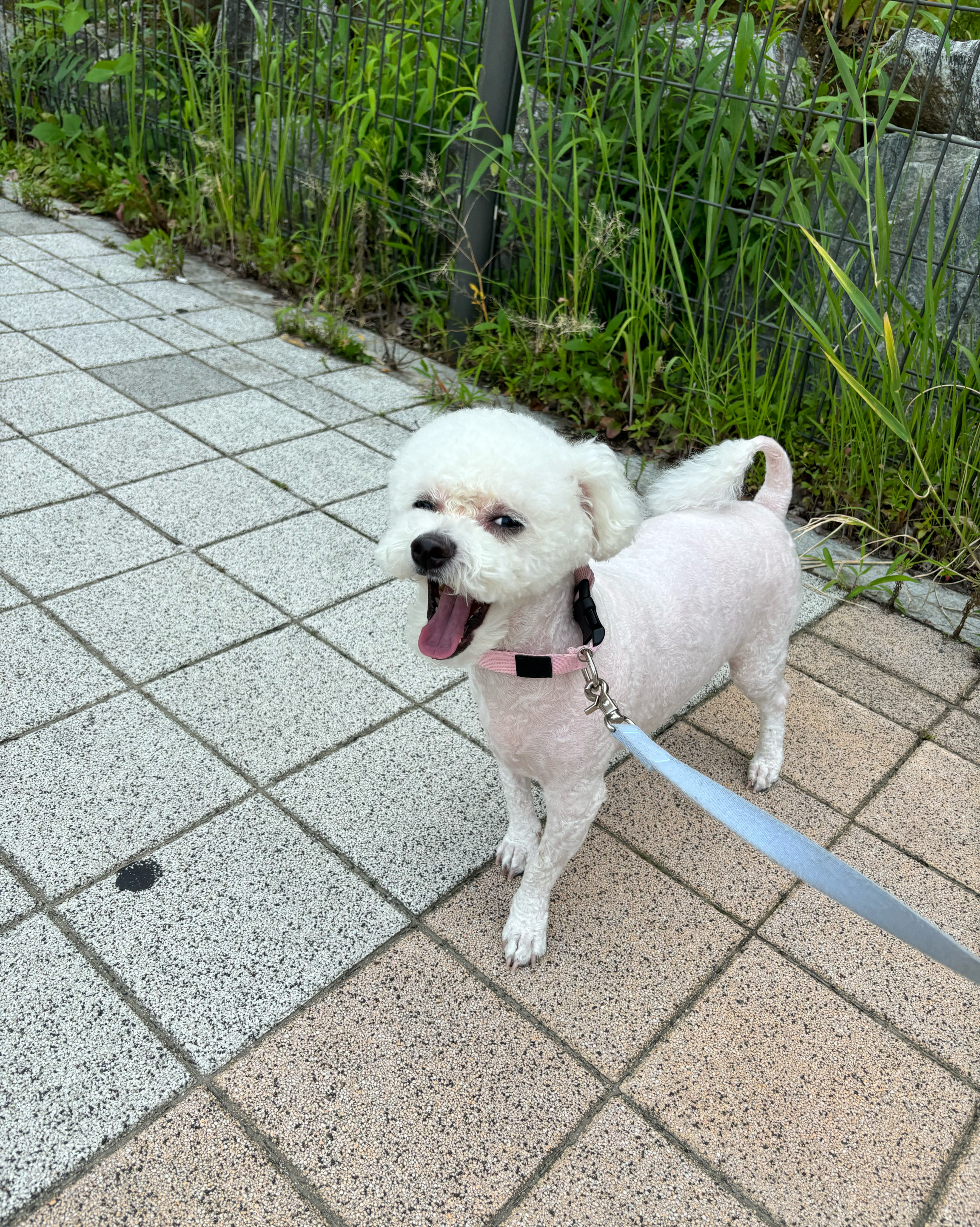 리뷰 사진 1