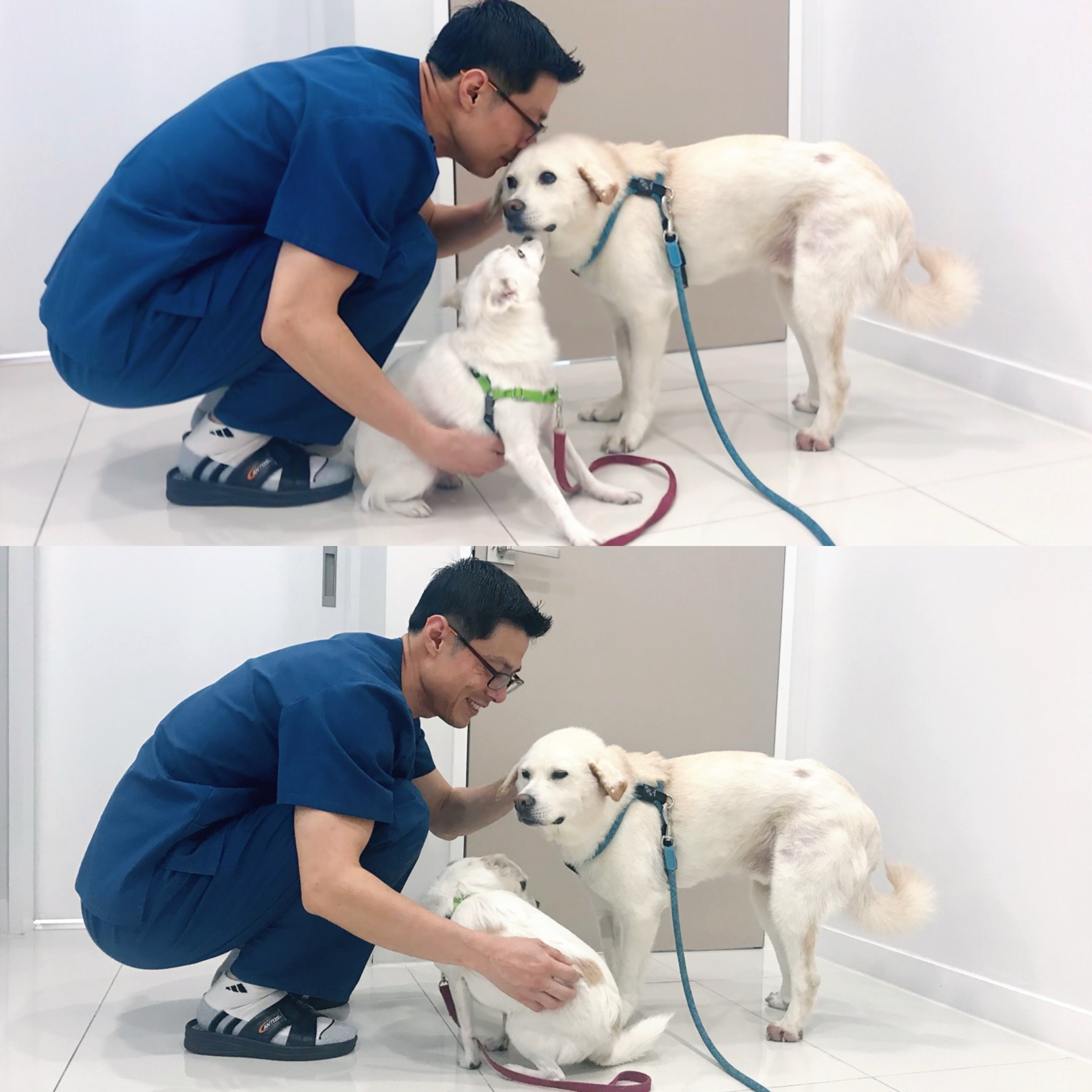 리뷰 사진 1