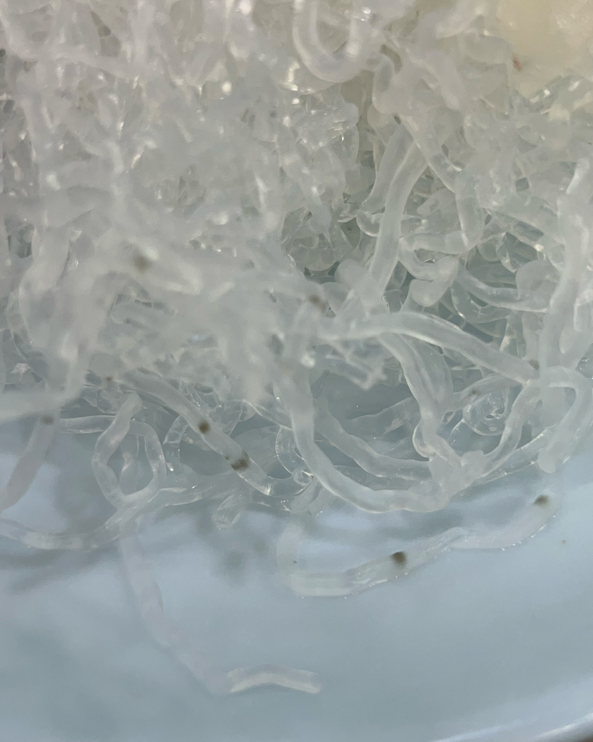 대천 맛집 [대전횟집] 직접 가본 로컬 리뷰
