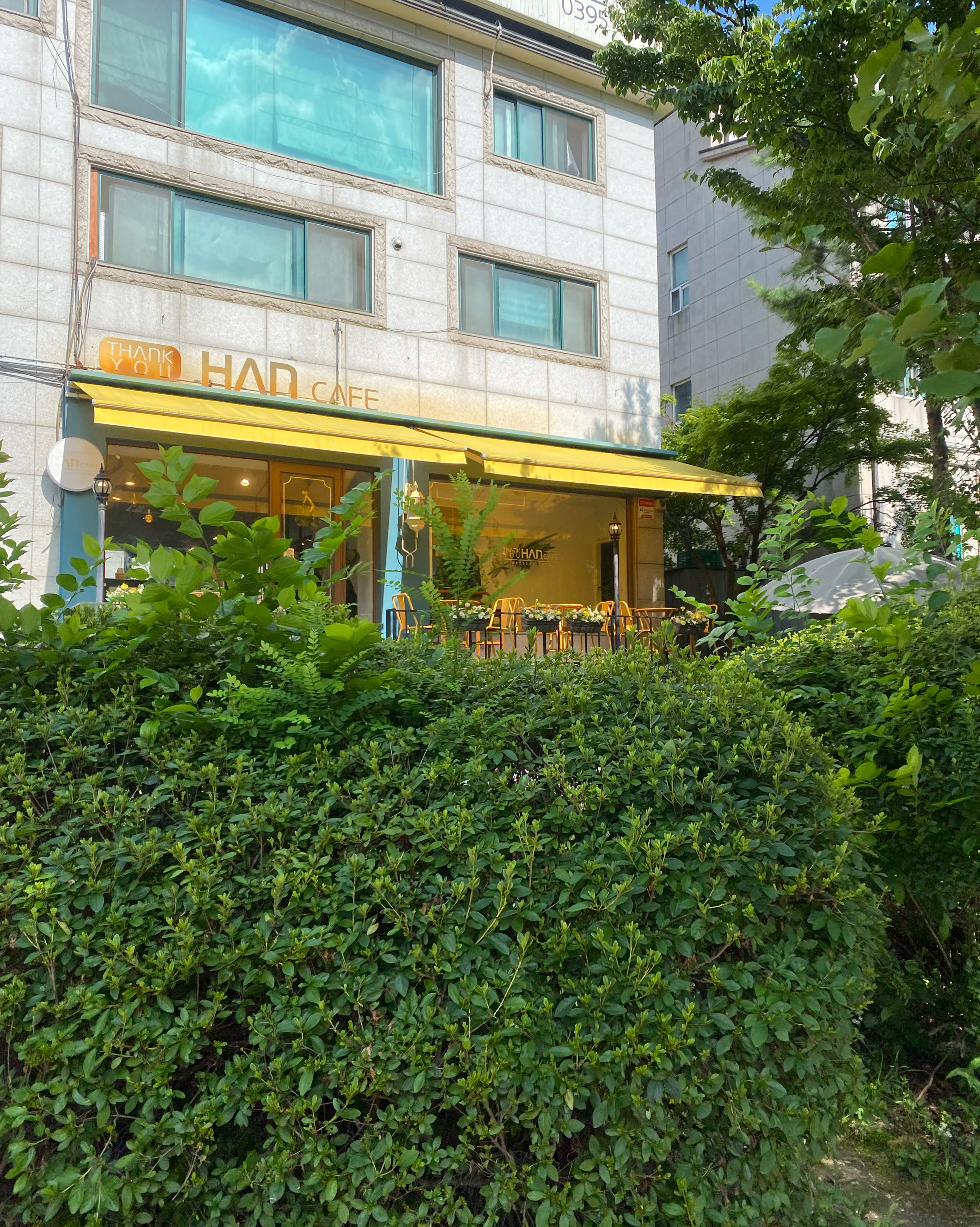 정자역 맛집 땡큐한 내돈내산 찐리뷰