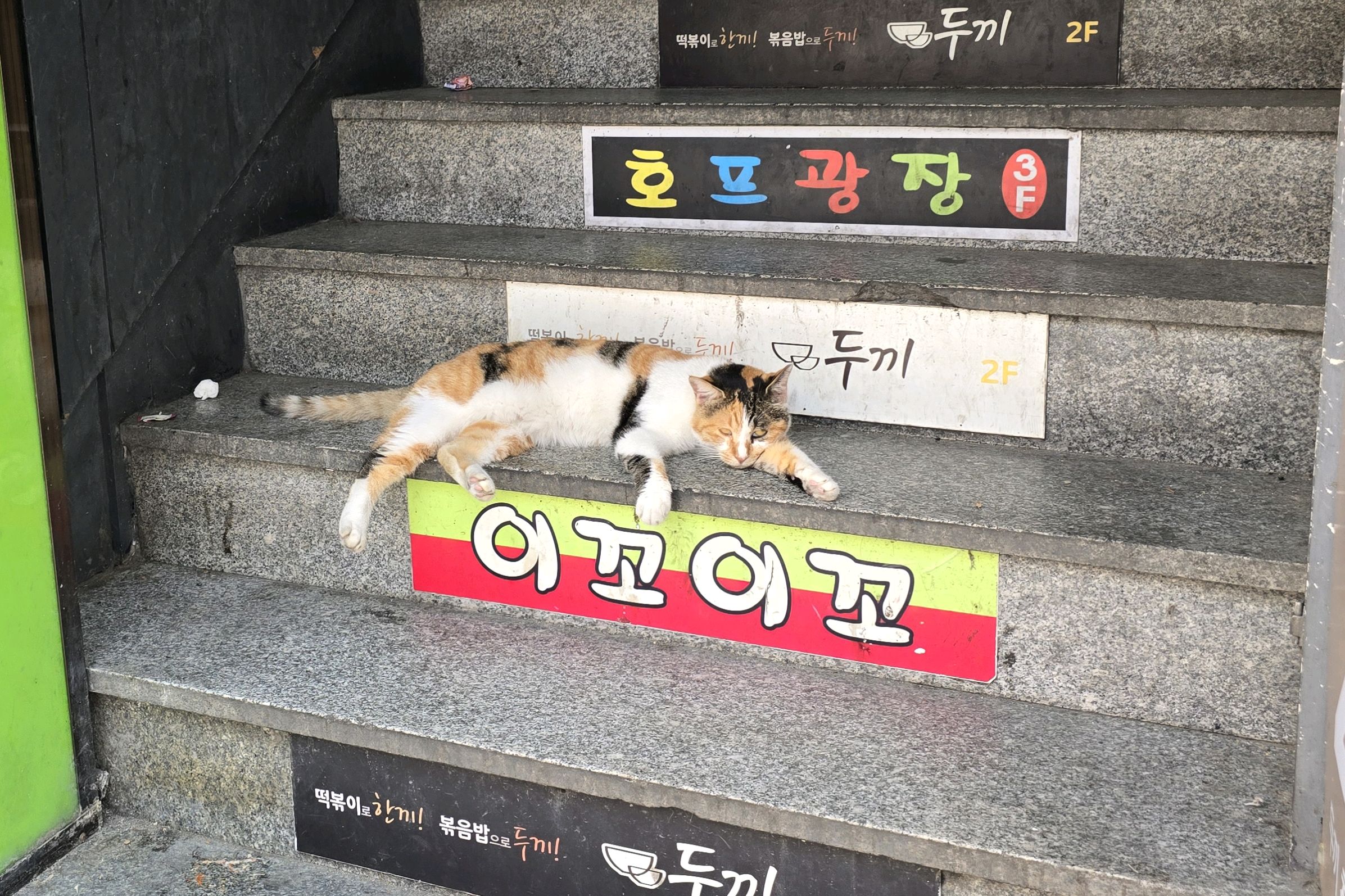 없는게 참 많았던 가게. - 천호동 맛집 두끼 천호로데오점