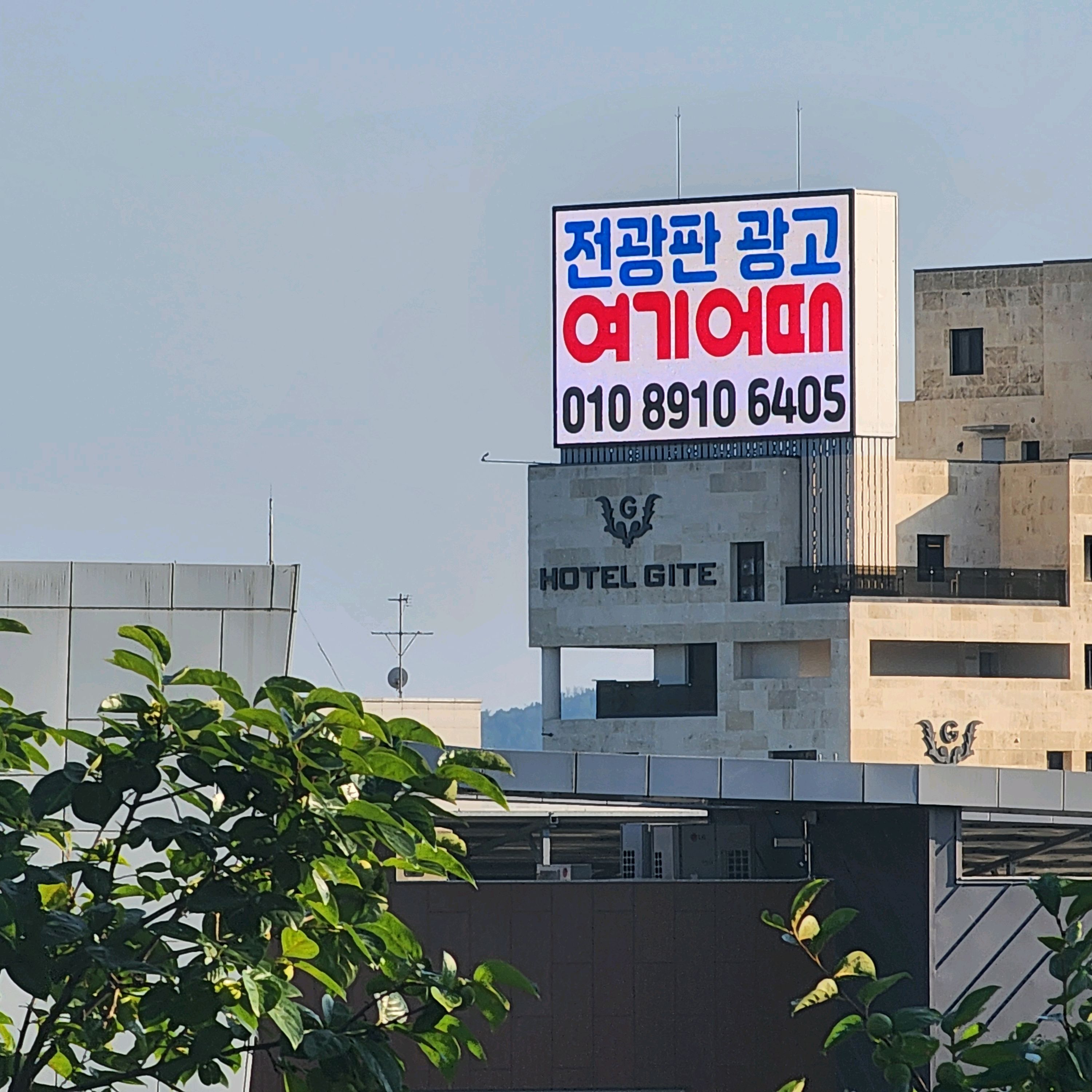 [여수 맛집 봉정식당] 직접 가본 로컬 리뷰