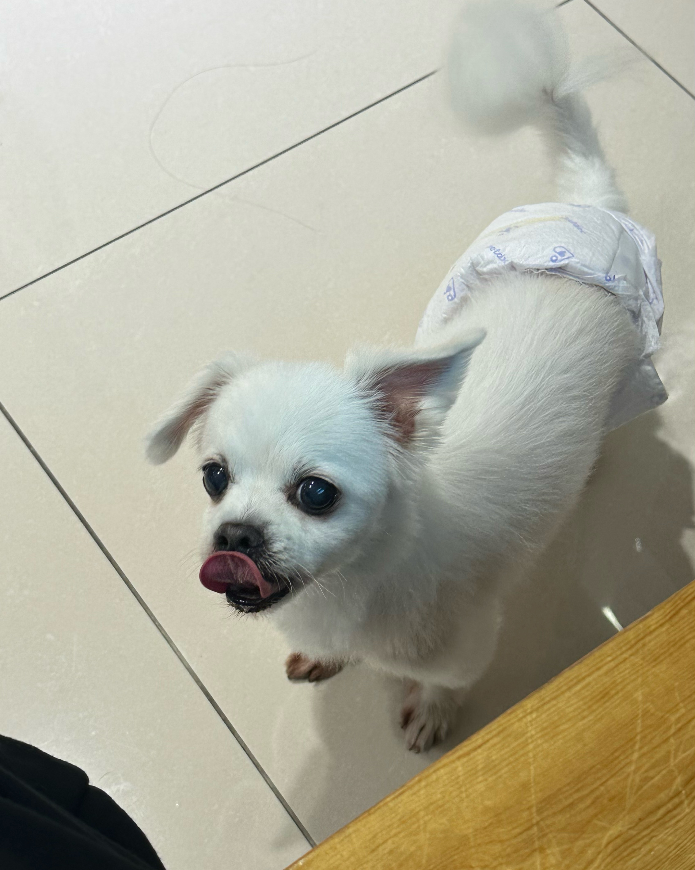 리뷰 사진 1