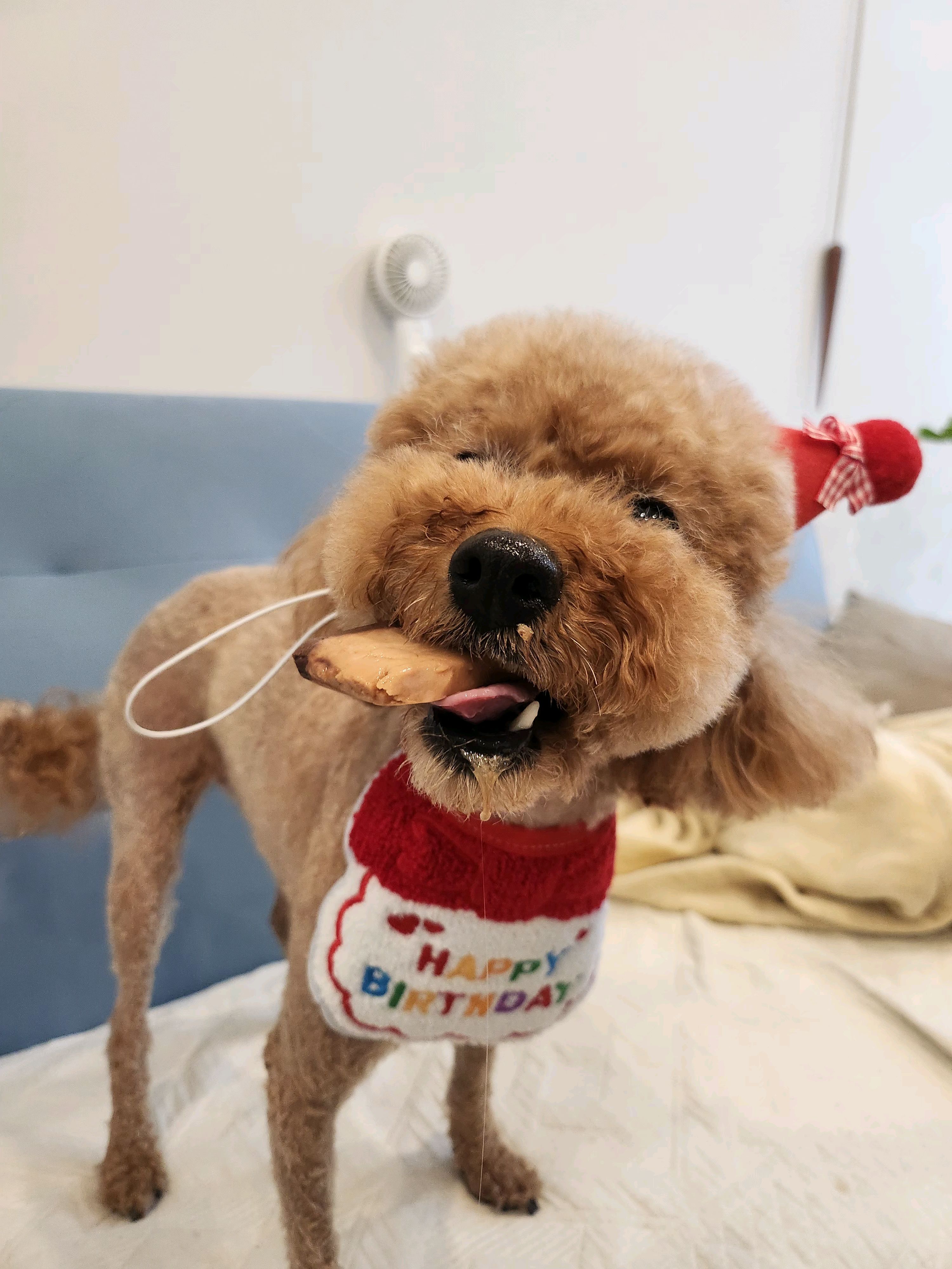 리뷰 사진 2