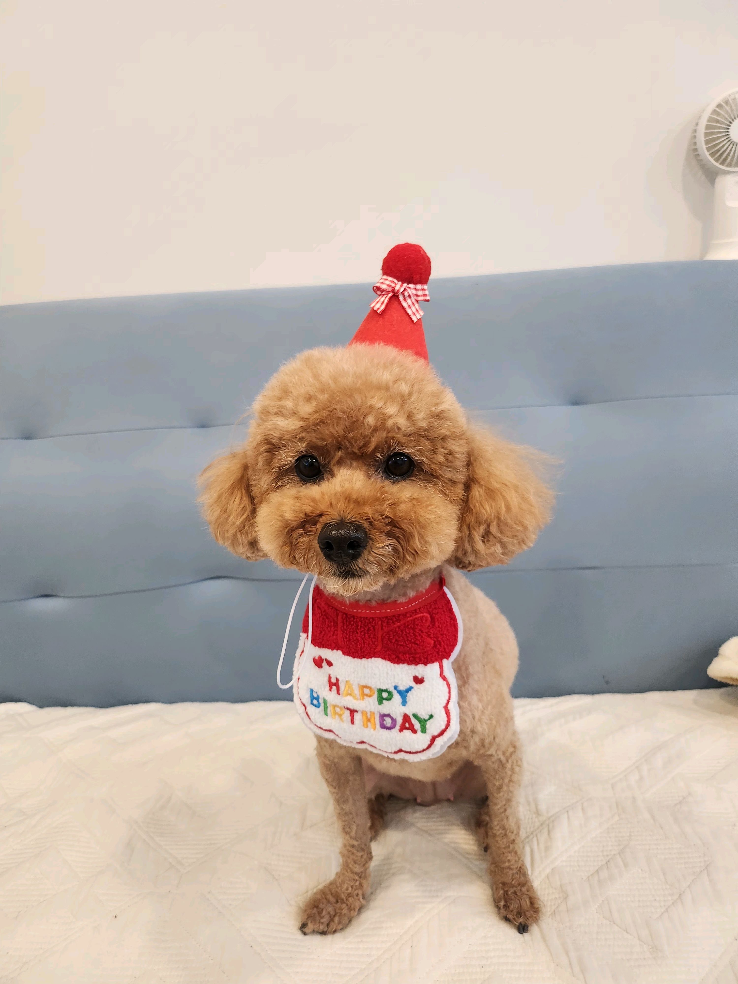 리뷰 사진 1
