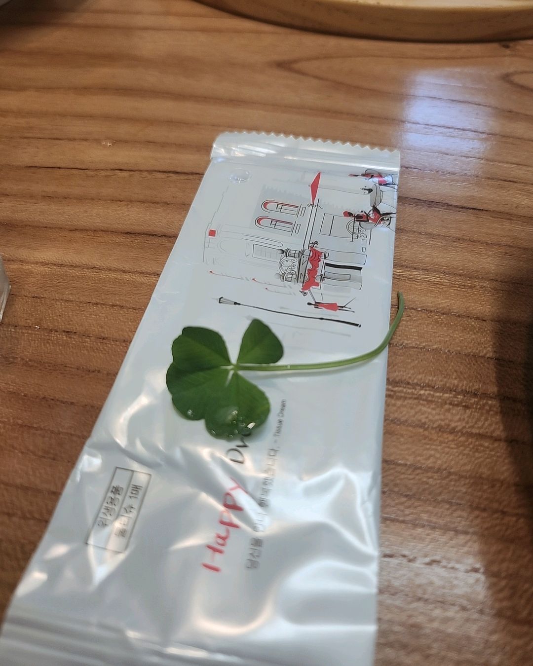 삼척 오면 꼭 들리는 쭈꾸미 맛집 입니다. 오늘은 도토리전 같이 시켰는데 네잎 클로버가 같