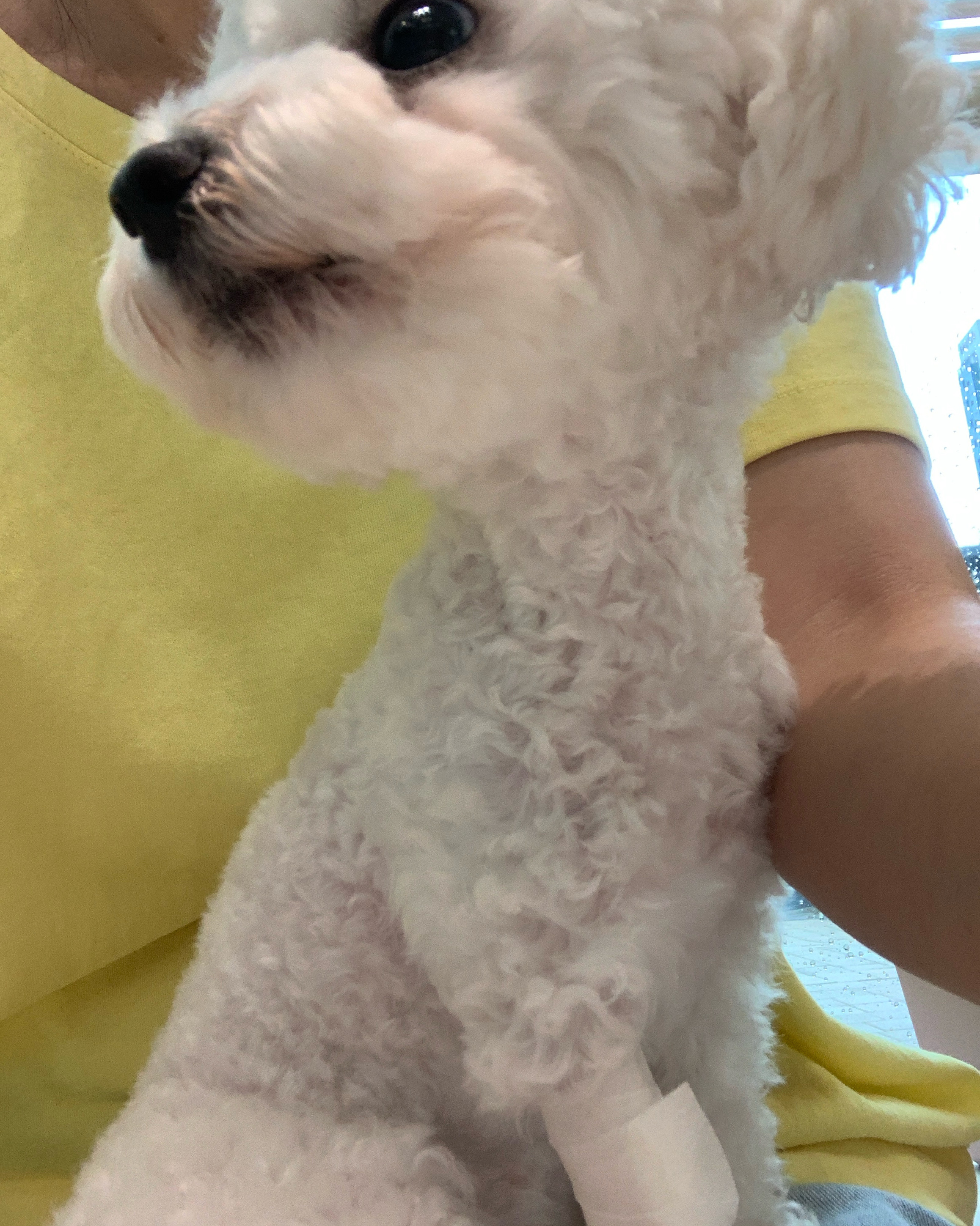 내곁에 동물병원 사진 2