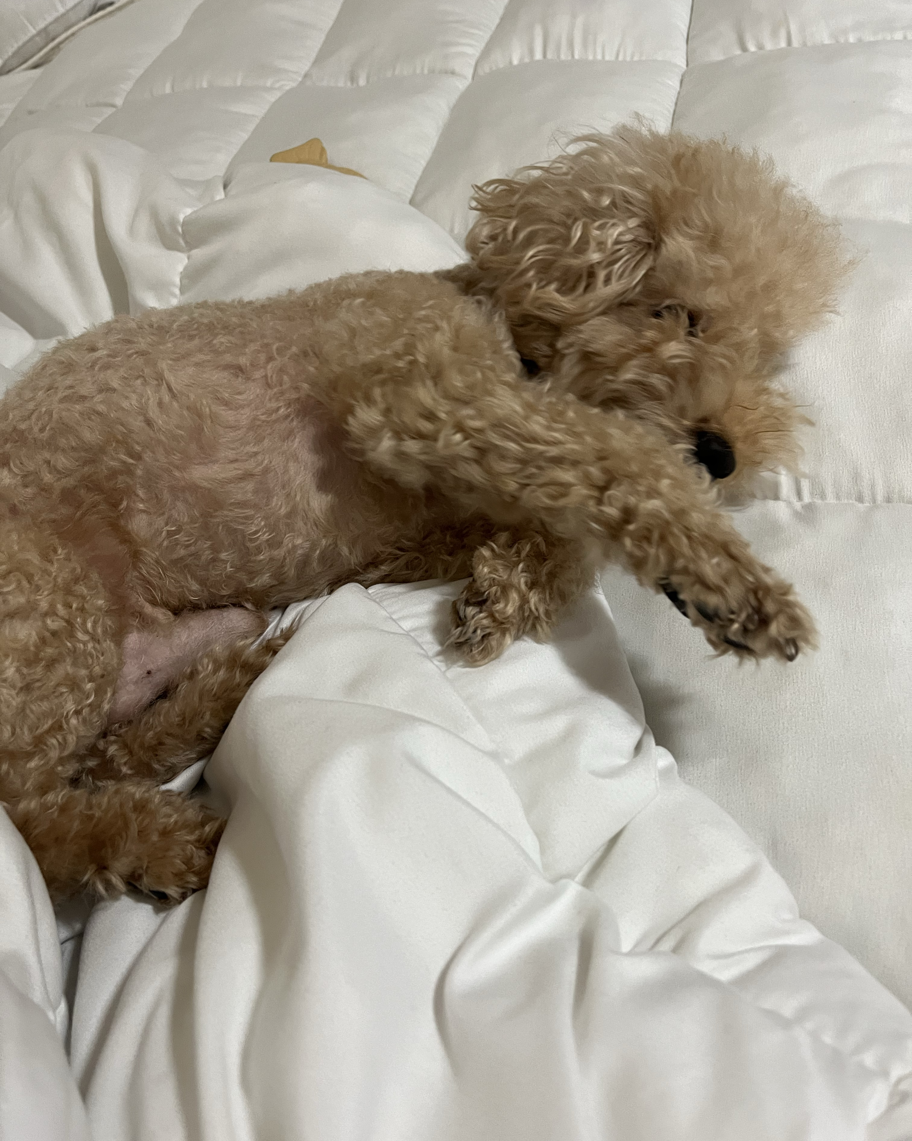 리뷰 사진 2