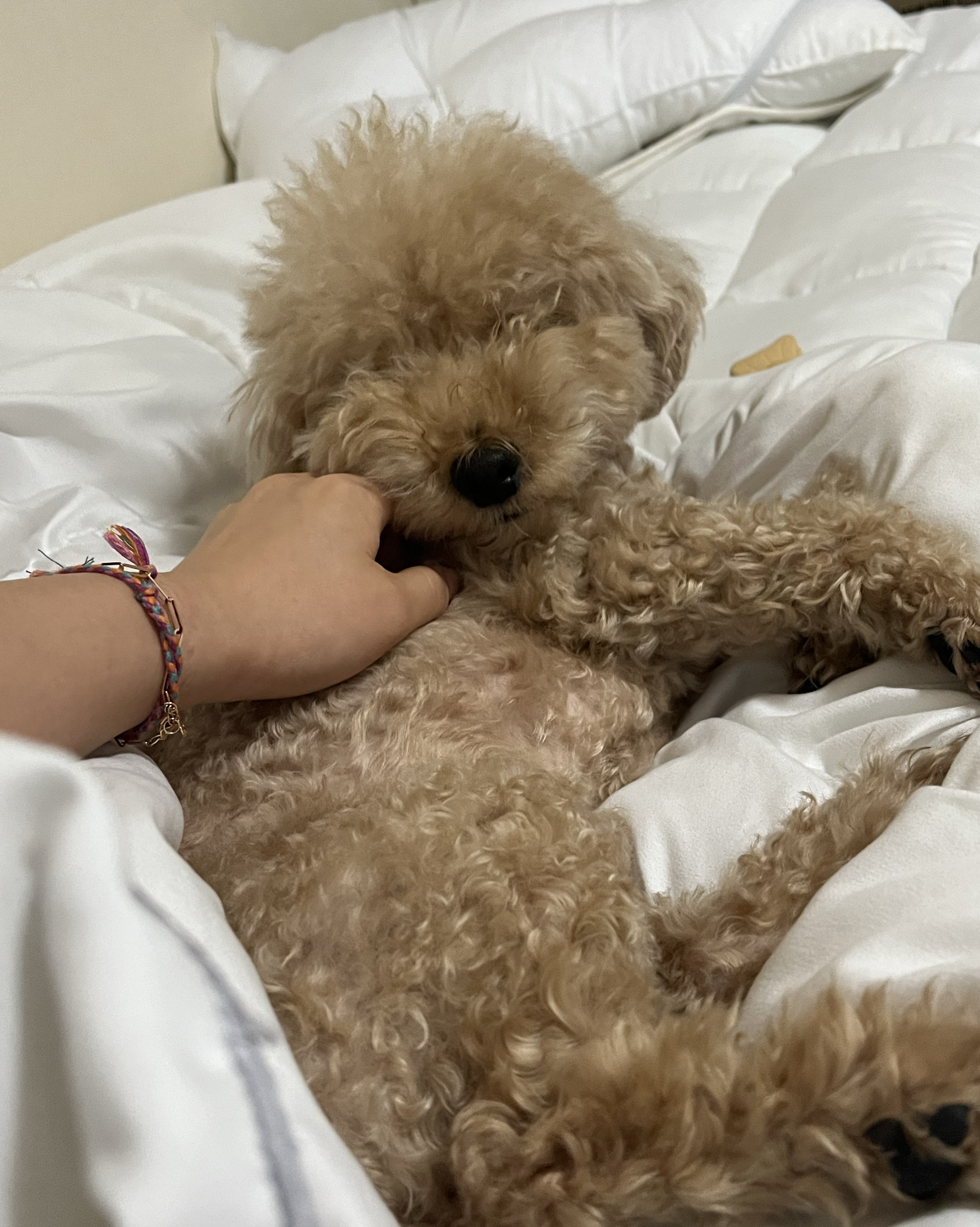 리뷰 사진 1