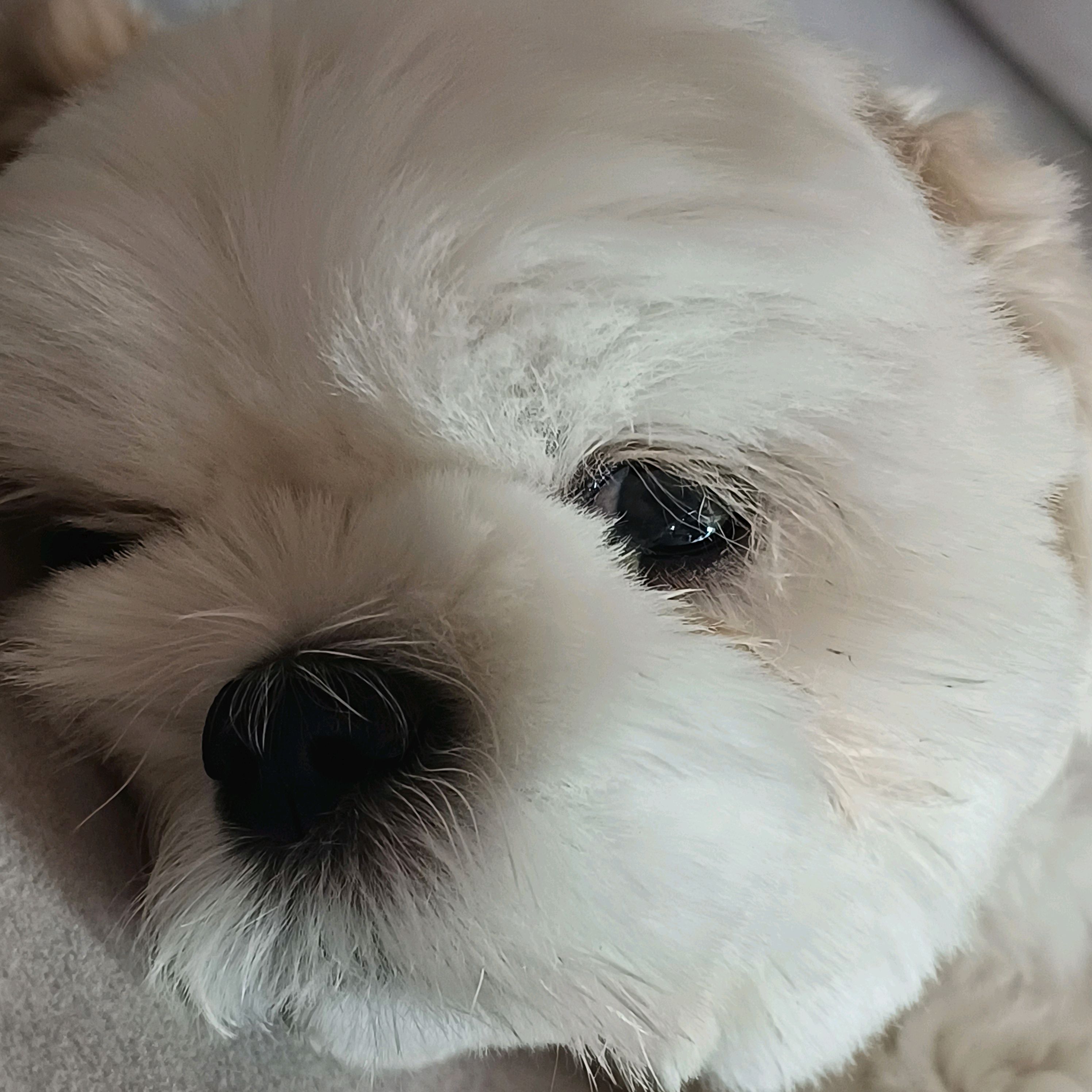 연희동물병원 사진 2