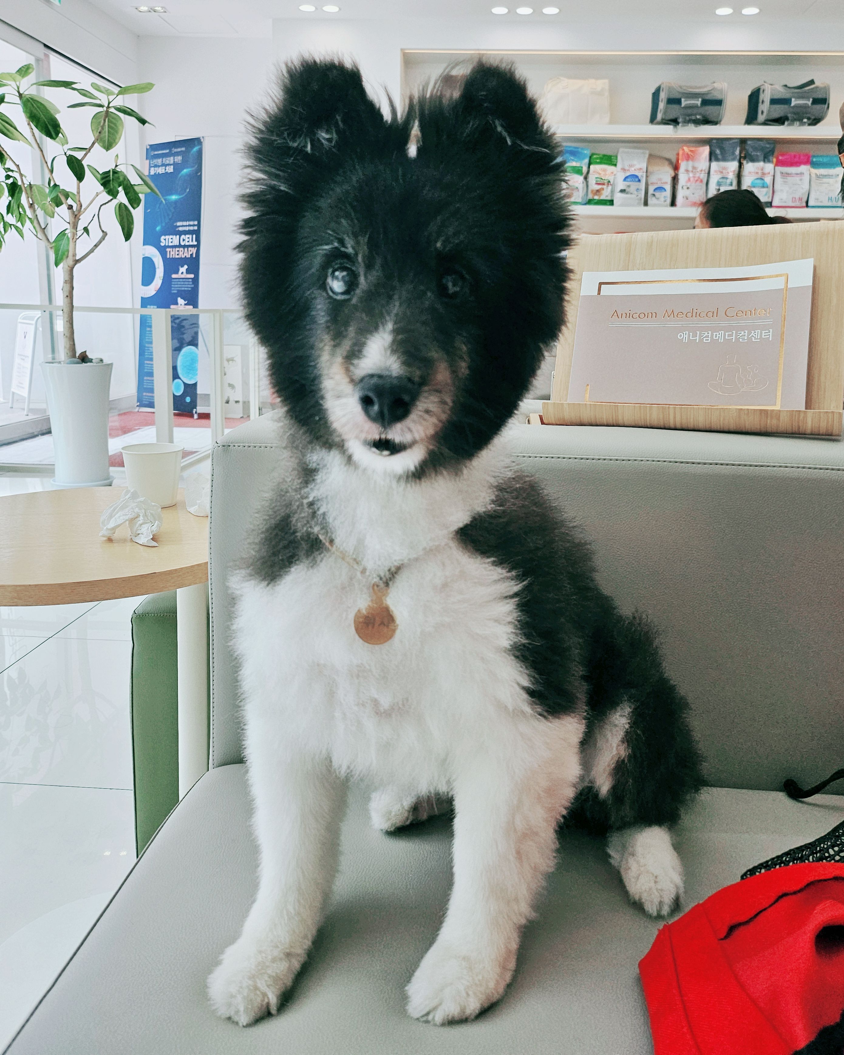 리뷰 사진 1