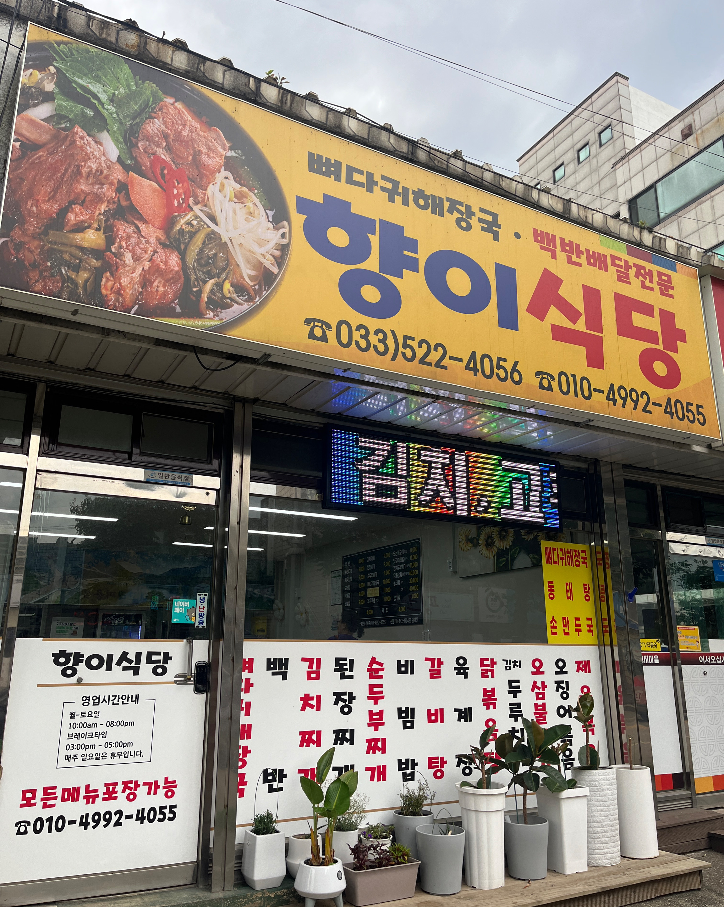 [동해 맛집 향이식당] 직접 가본 로컬 리뷰