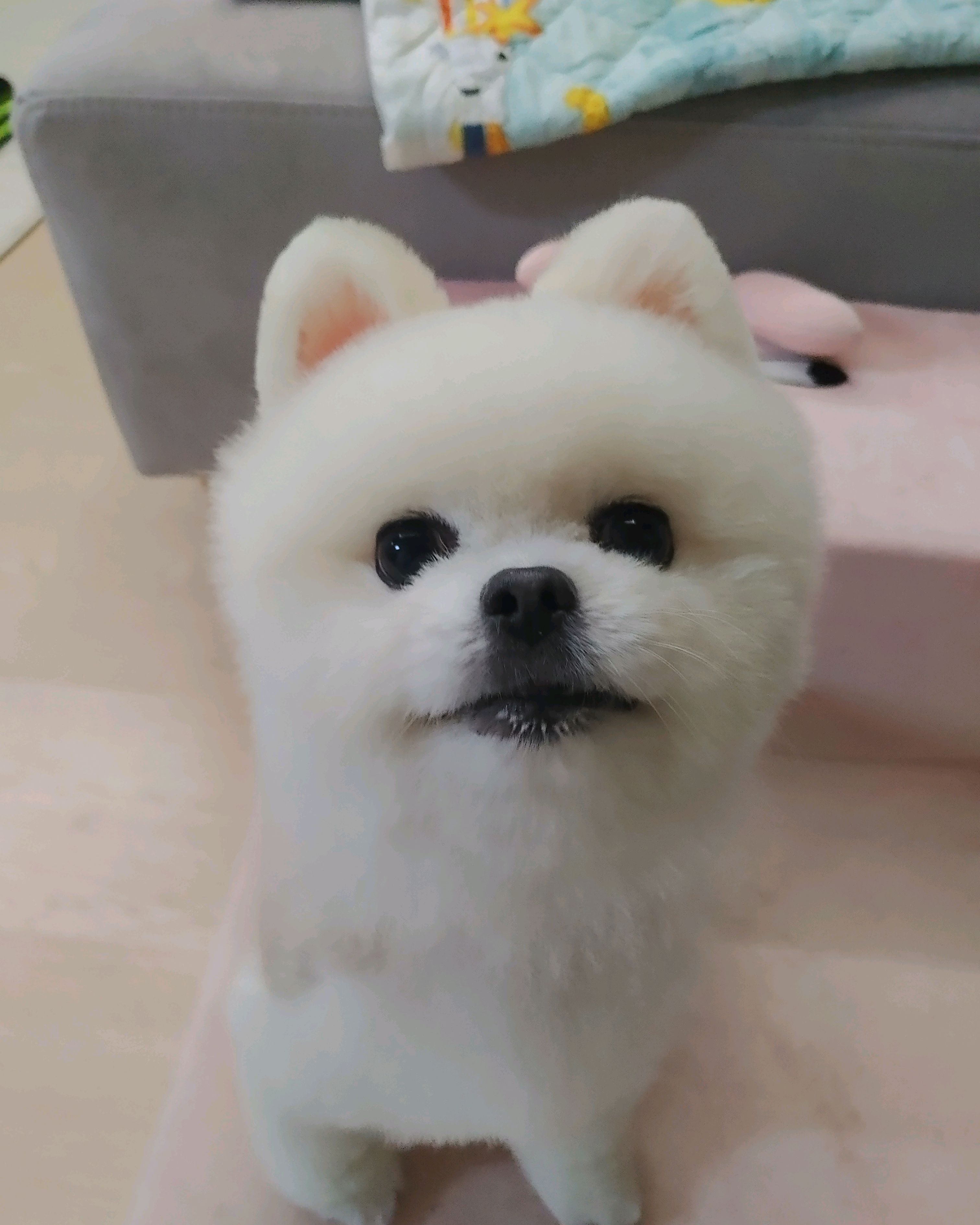 리뷰 사진 1