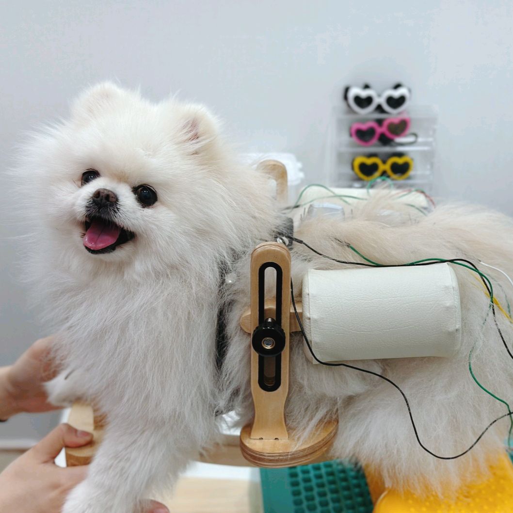 리뷰 사진 1