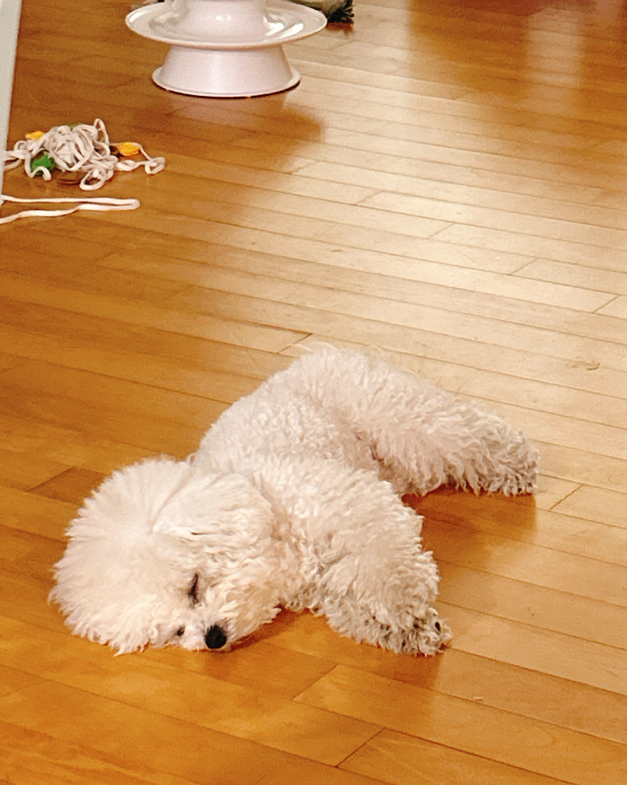 리뷰 사진 3