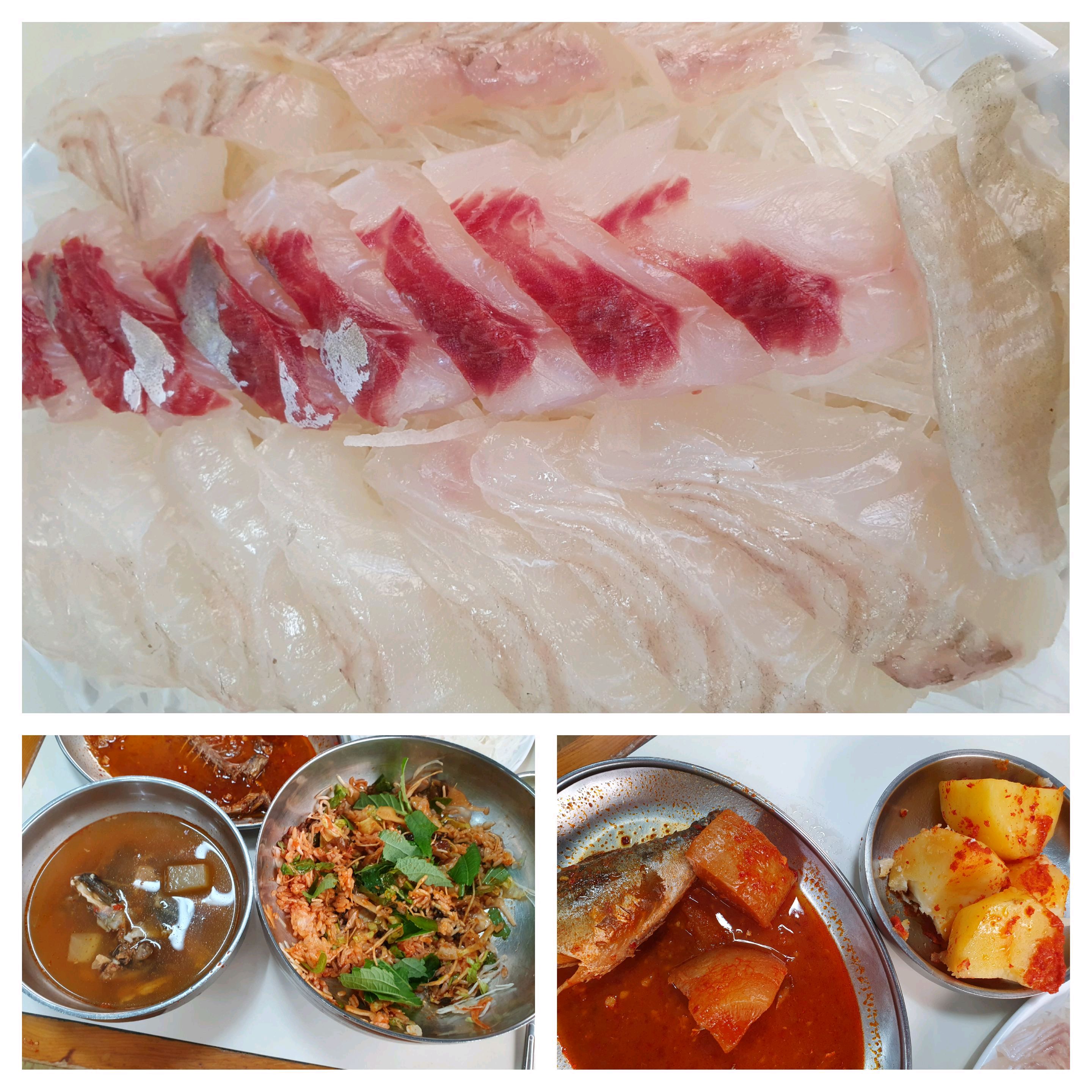  서울시 중구 회현동 맛집 막내회집 본점