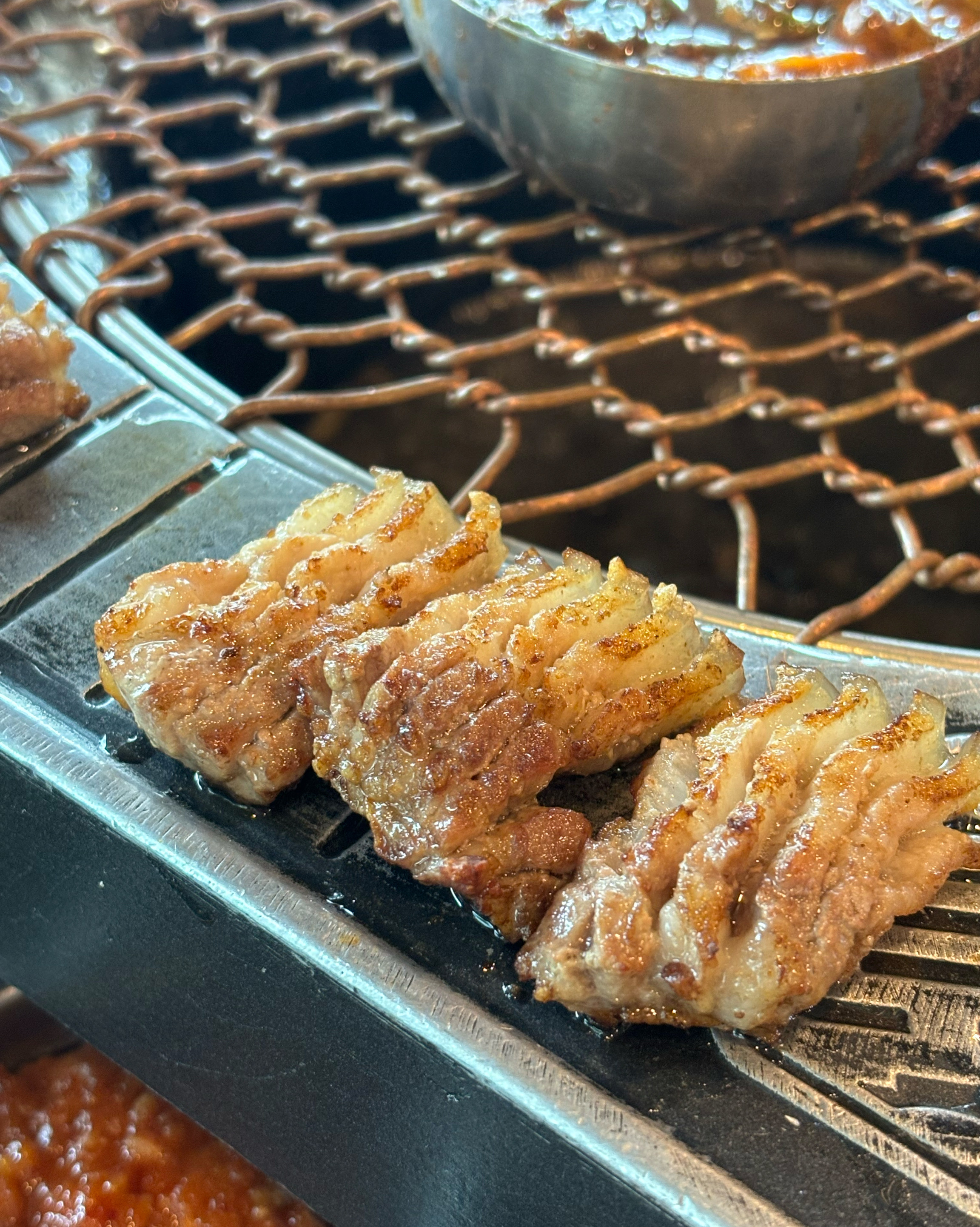 [제주도 공항 맛집 도갈비] 직접 가본 로컬 리뷰