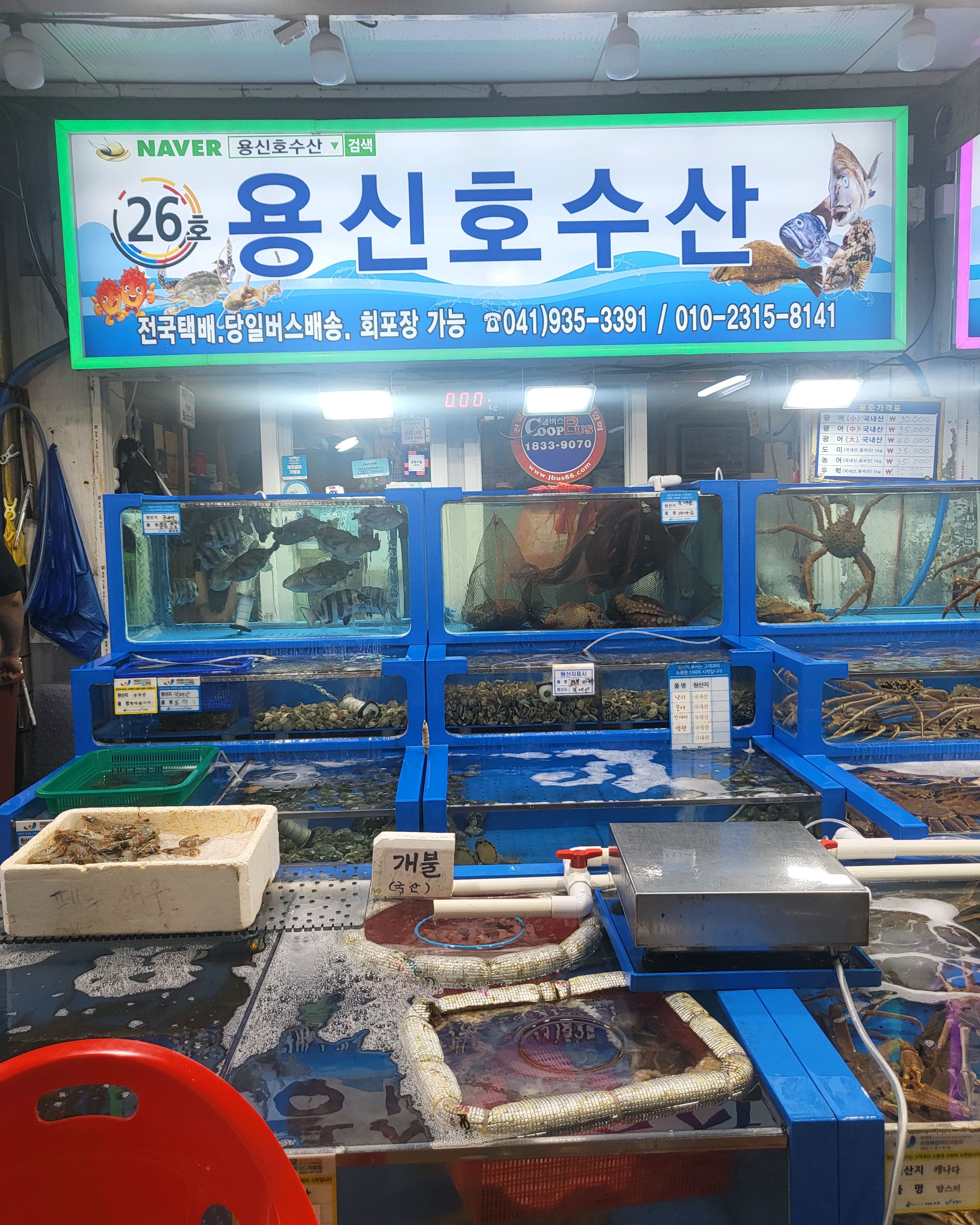 대천 맛집 [용신호 수산] 직접 가본 로컬 리뷰