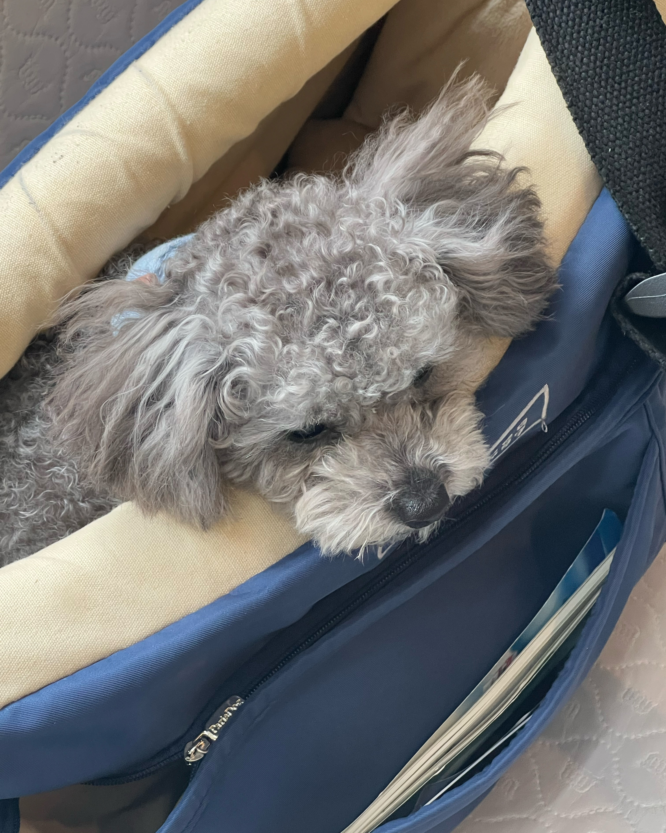 리뷰 사진 1