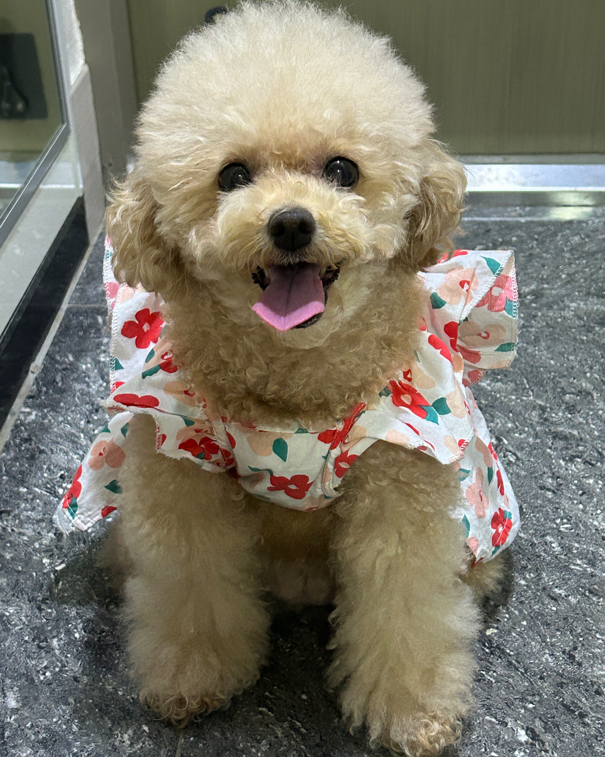 리뷰 사진 1
