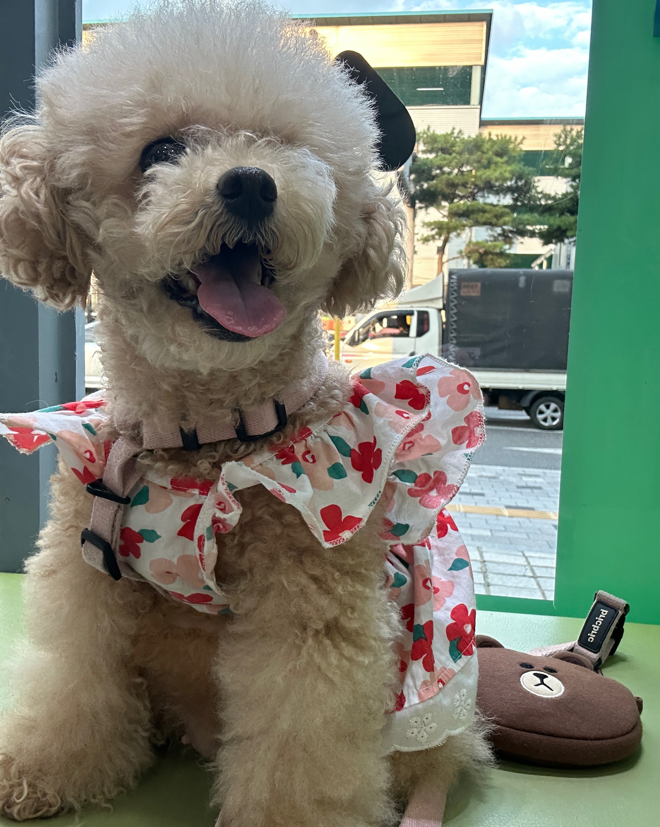 리뷰 사진 2
