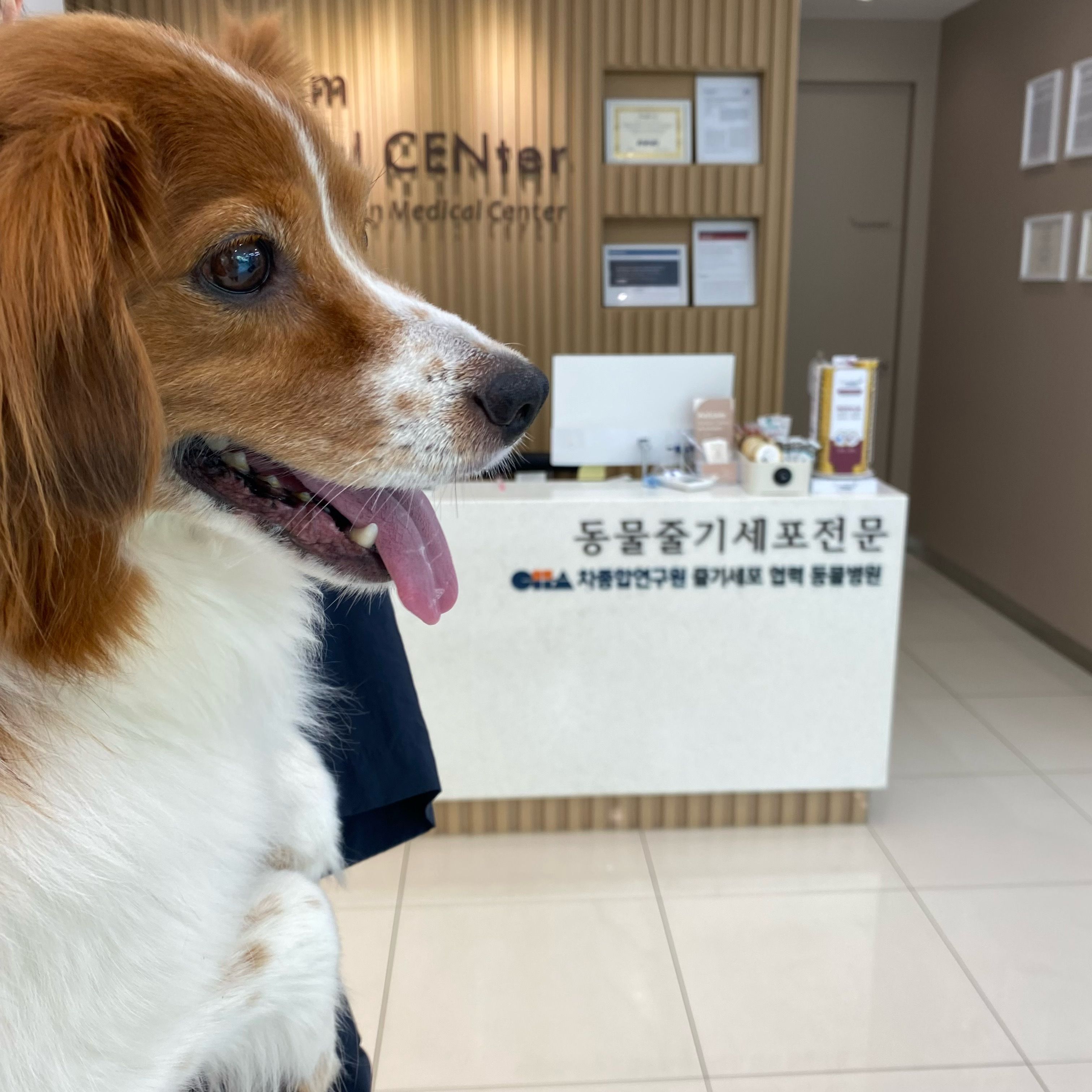 리뷰 사진 1