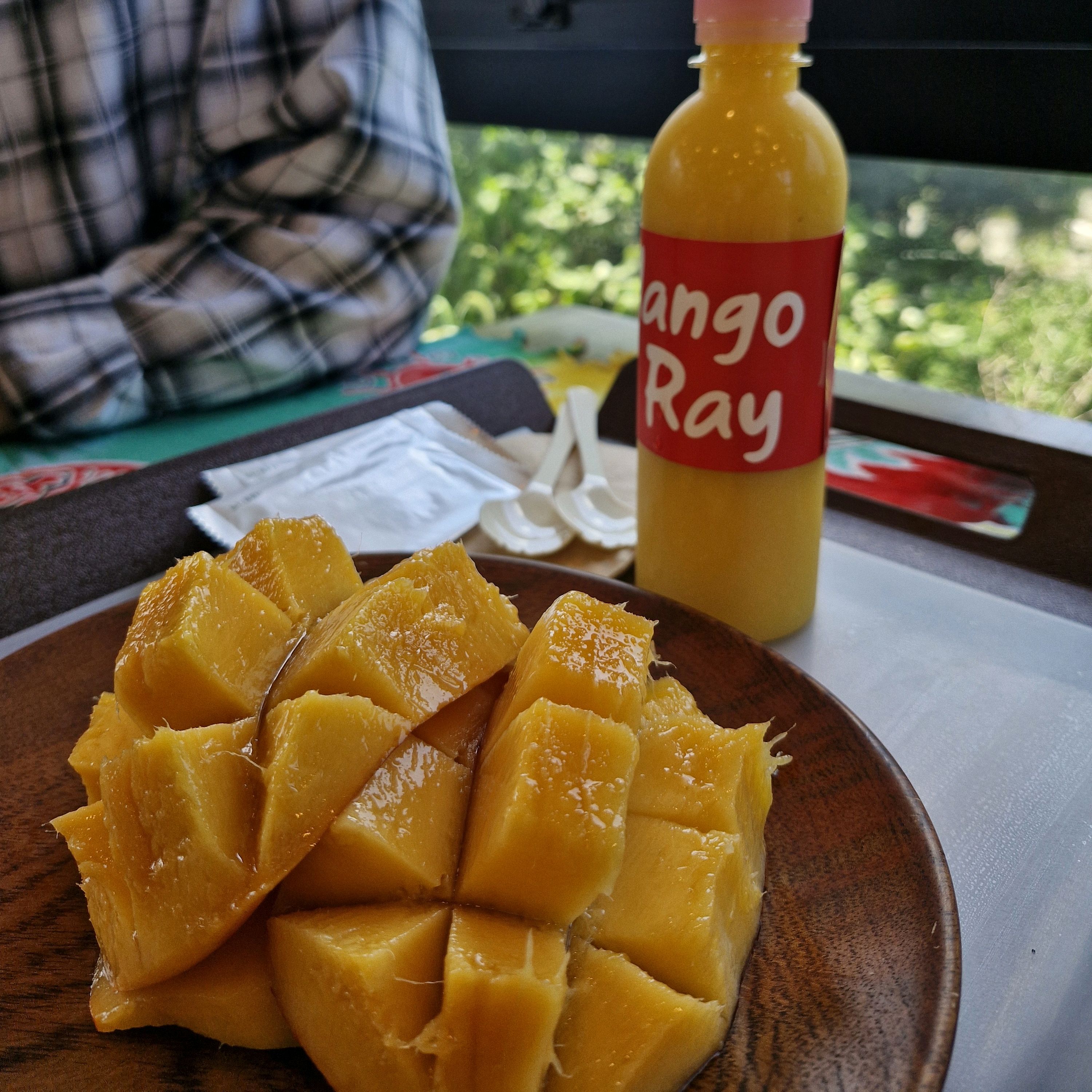 [애월 맛집 망고레이 본점] 직접 가본 로컬 리뷰
