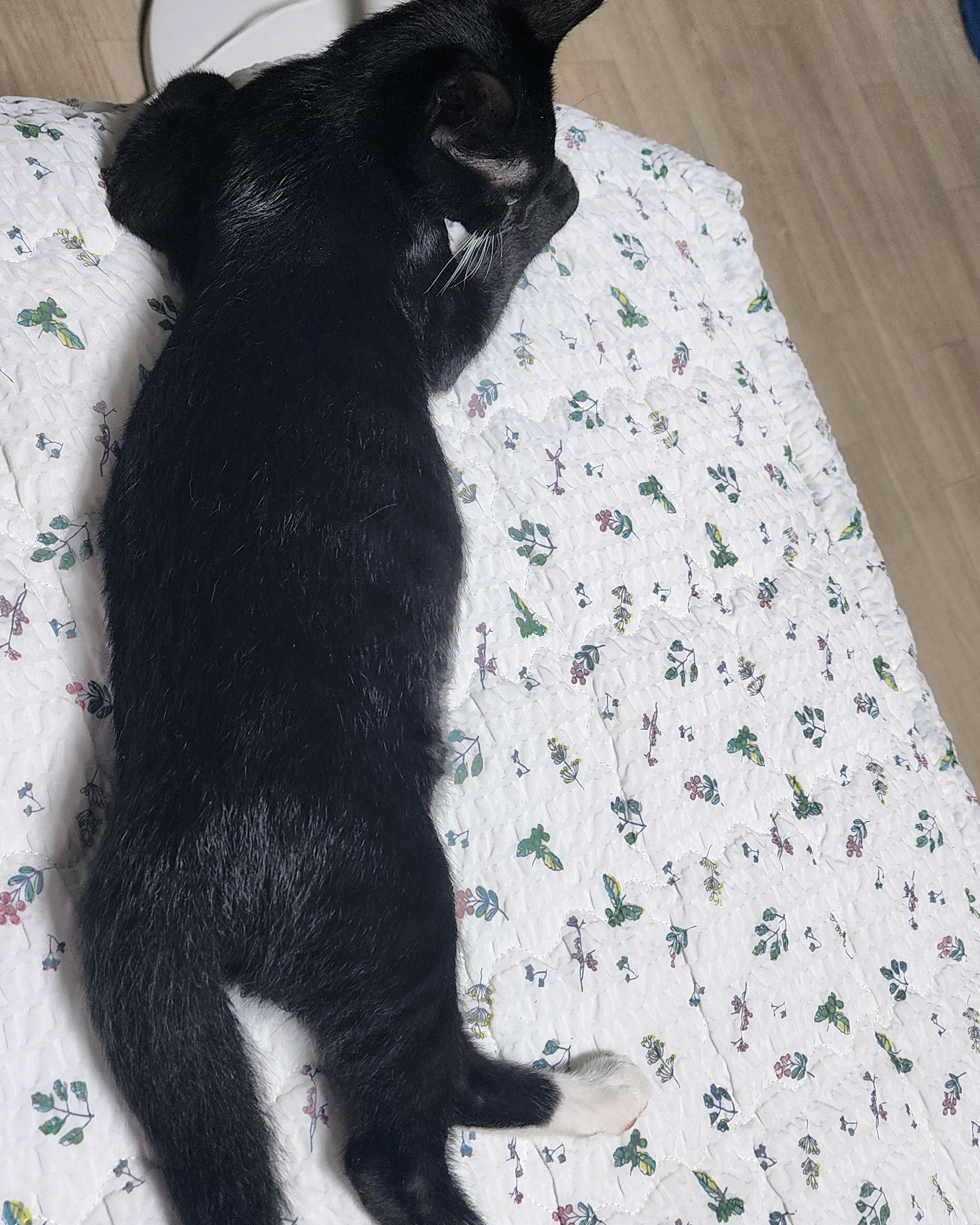 리뷰 사진 2