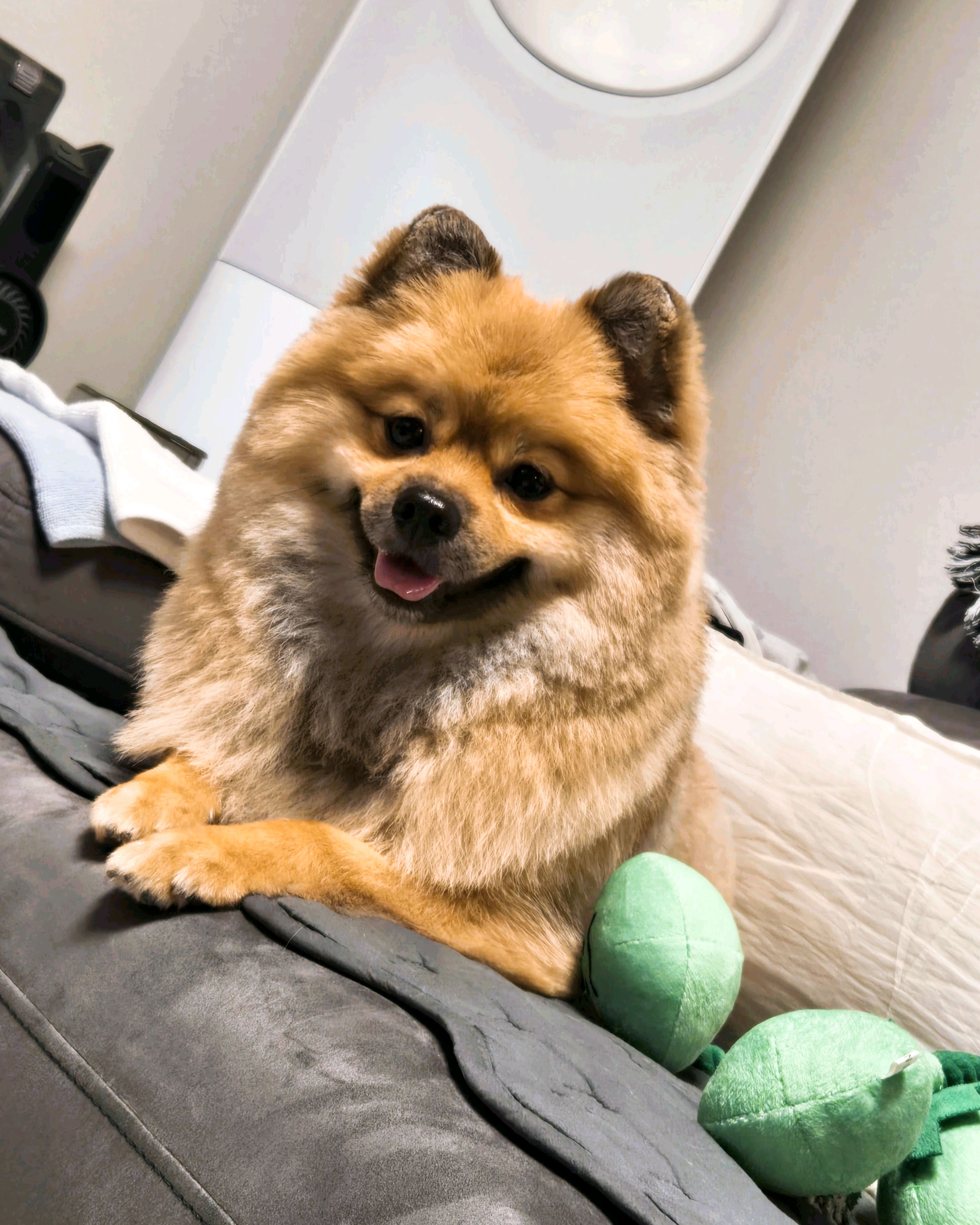 리뷰 사진 1