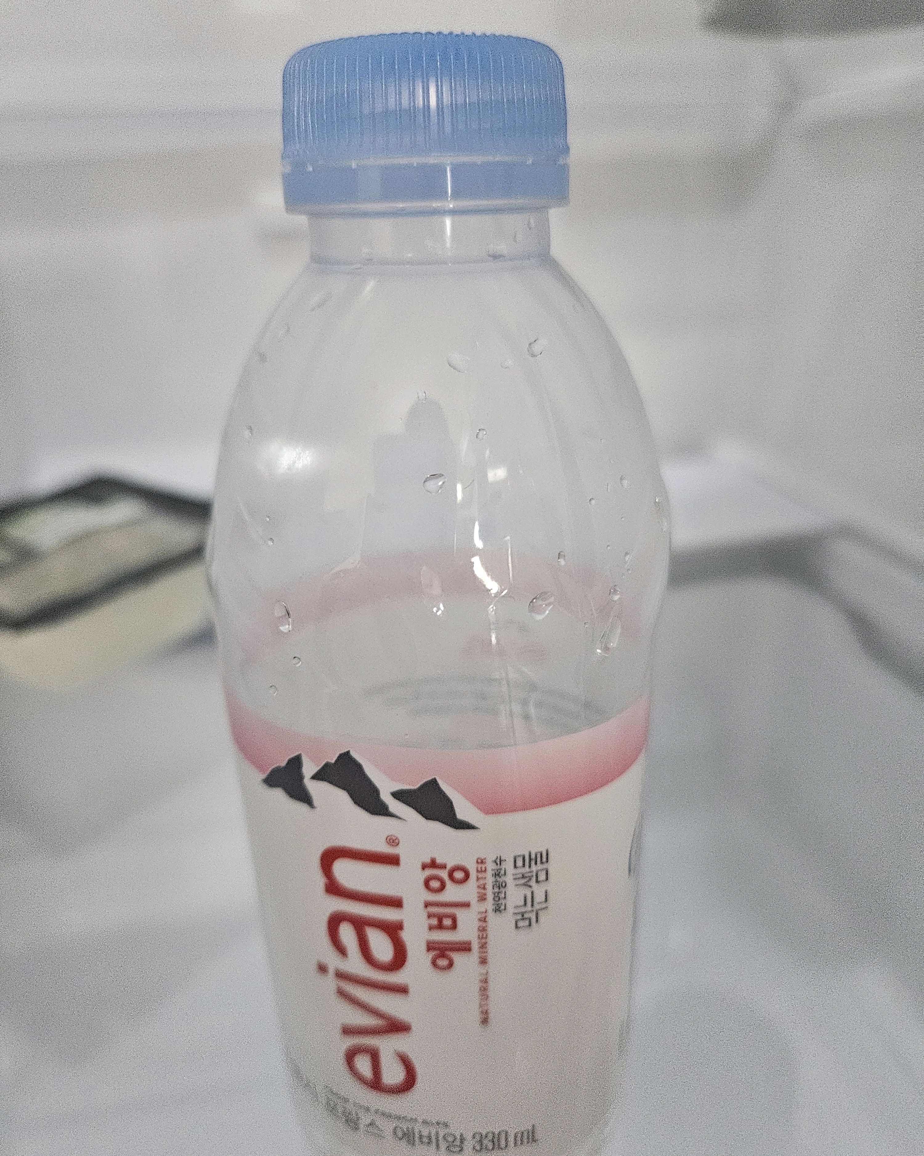[하이원 맛집 하이원리조트 오브] 직접 가본 로컬 리뷰