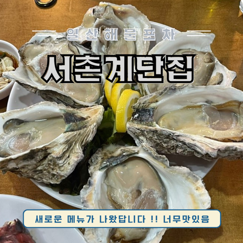  주엽역 맛집 서촌계단집 일산점
