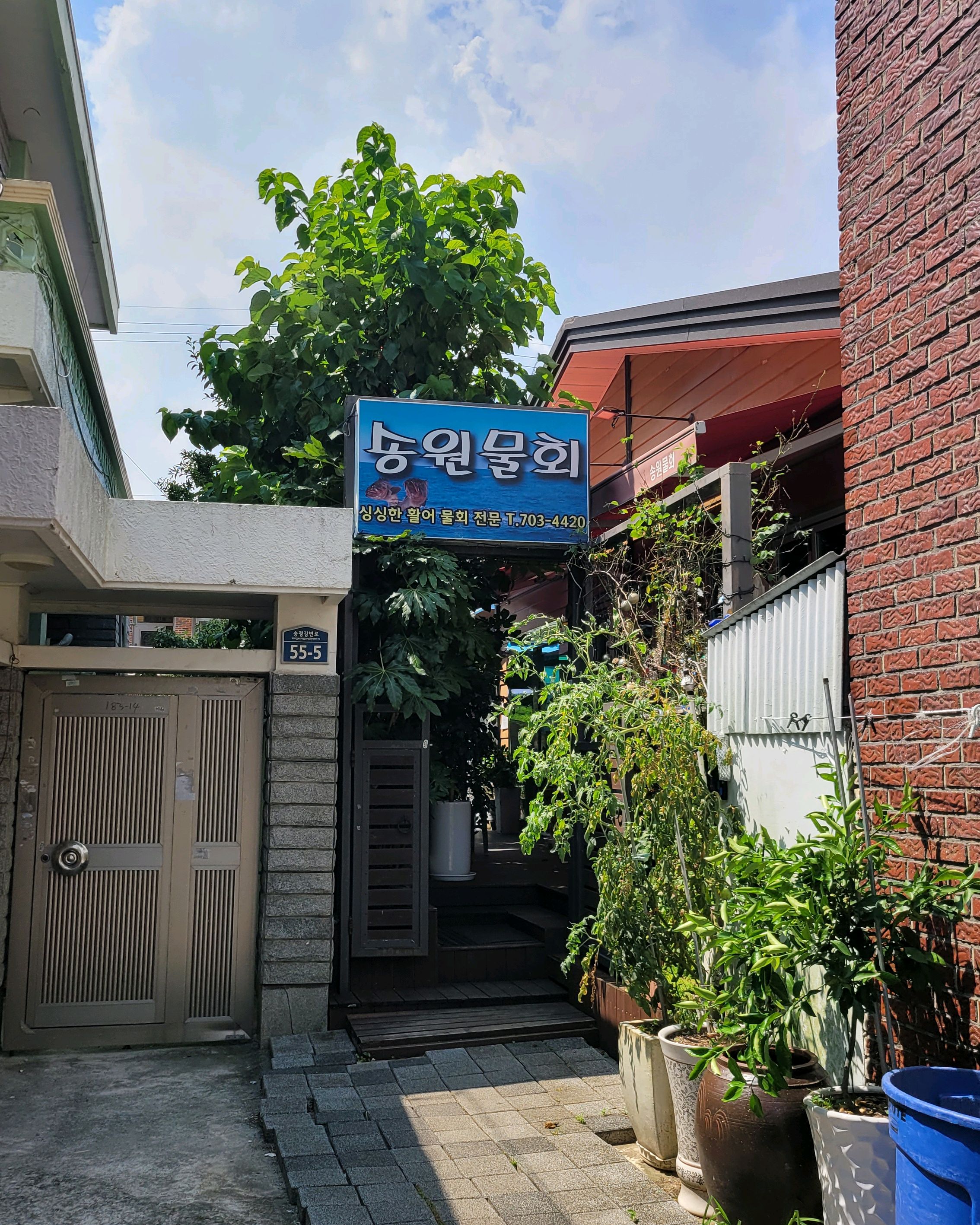 송정.. 송원물회 - 송정 맛집 송원물회횟집